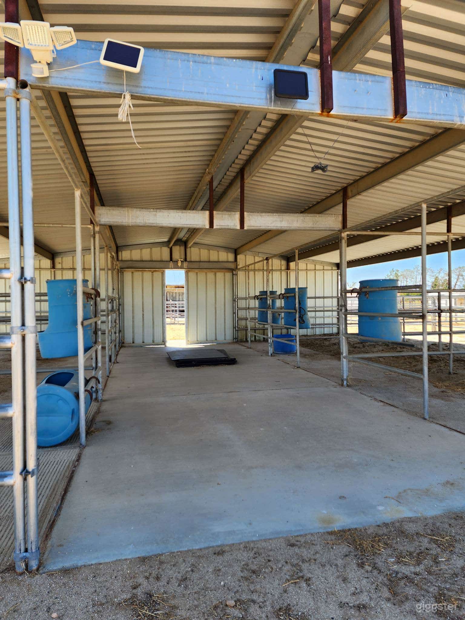 Covered barn area