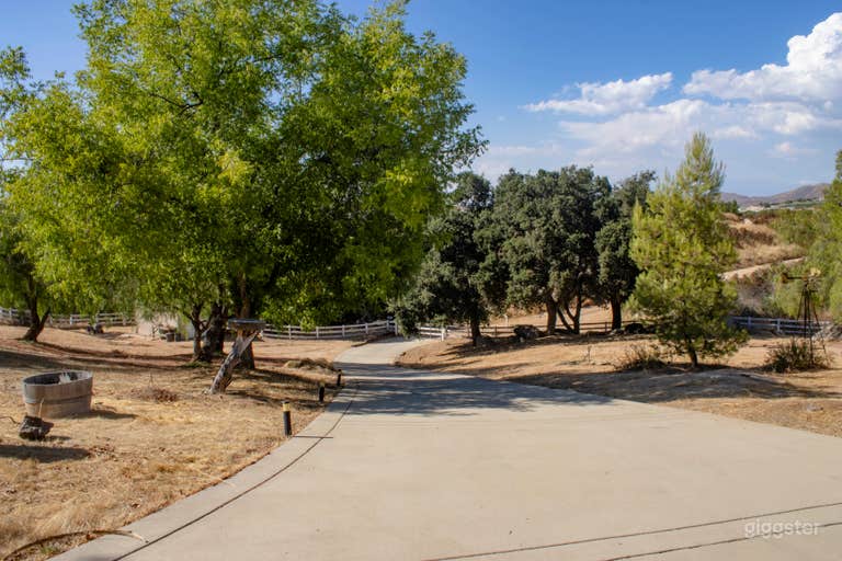  Driveway of Pink Pepper Trees 