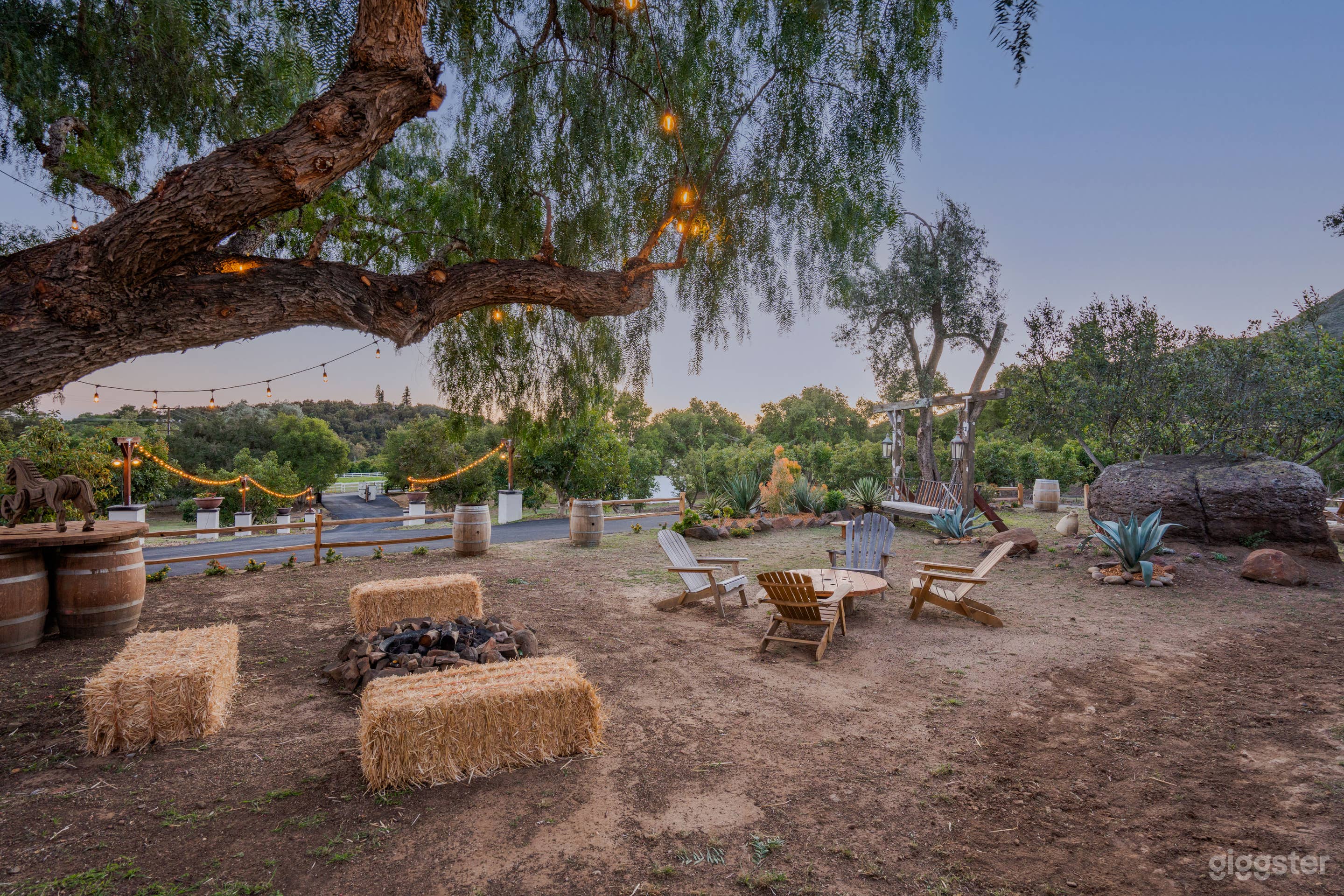 Pampas Farm  Photo 4