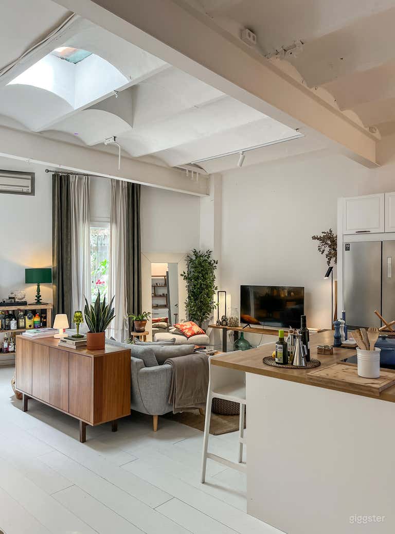  Modern industrial loft in Barcelona 