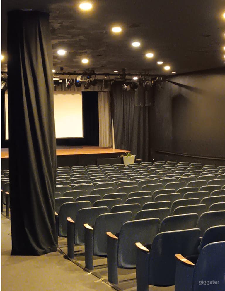   Intimate Spacious Theatre 