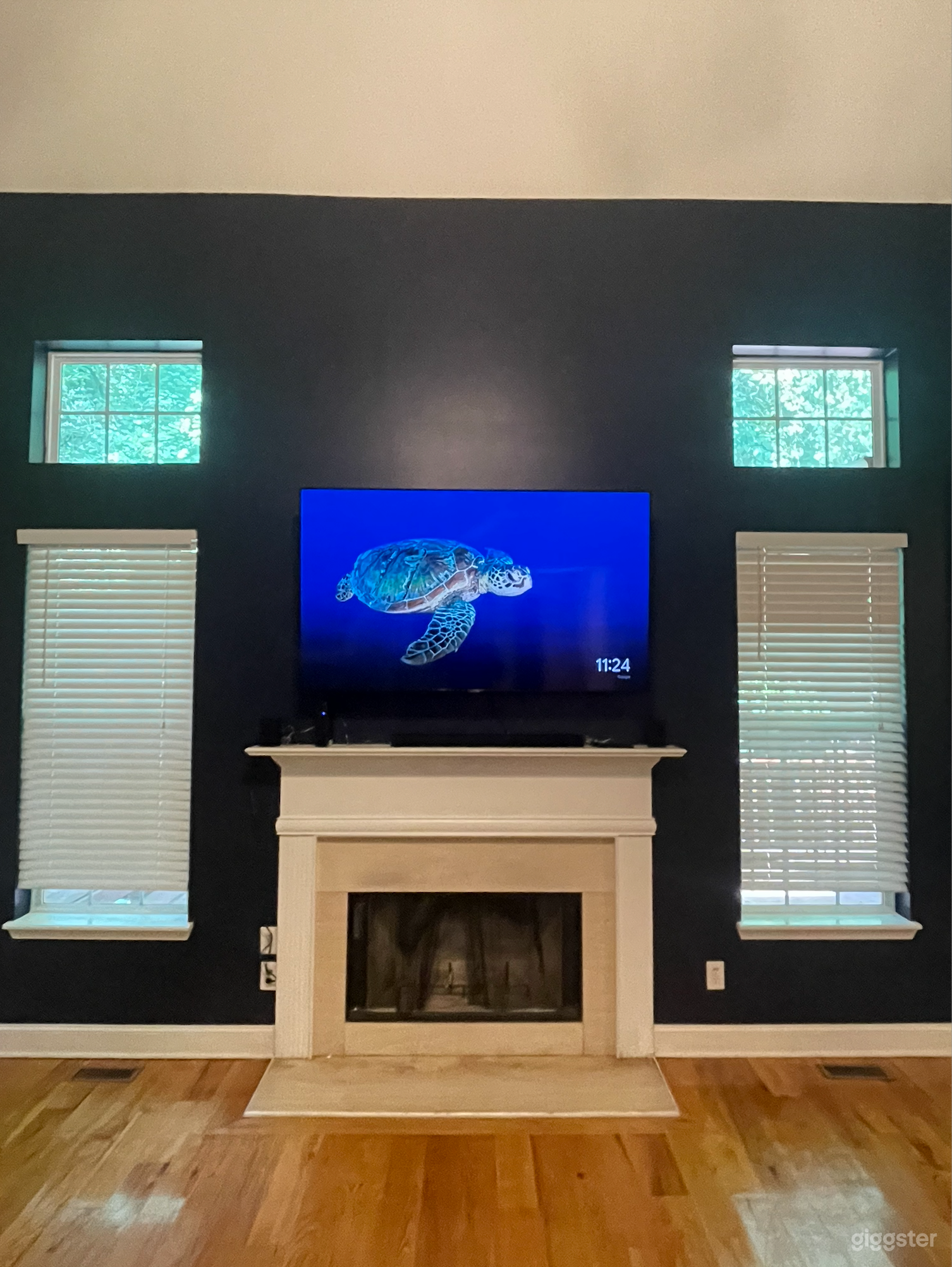Living Room TV