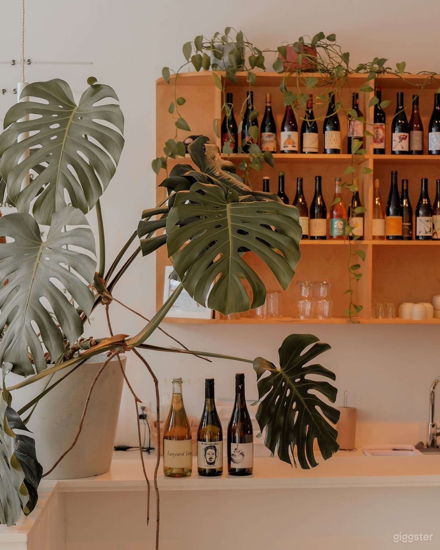 Unique Event Space with Botanical Charm Photo 1