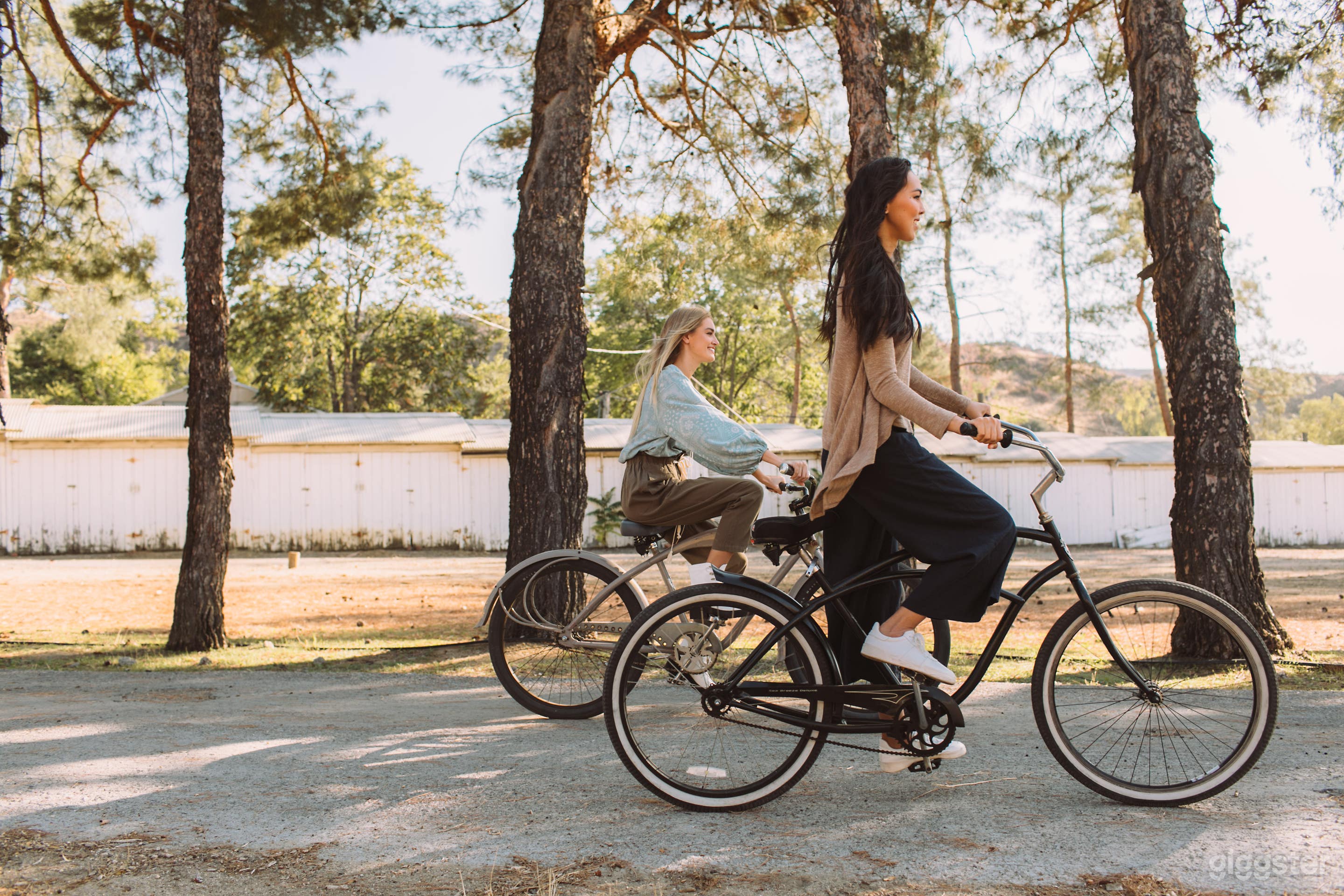 Isolated Sheep &amp; Chicken Ranch with House Photo 4