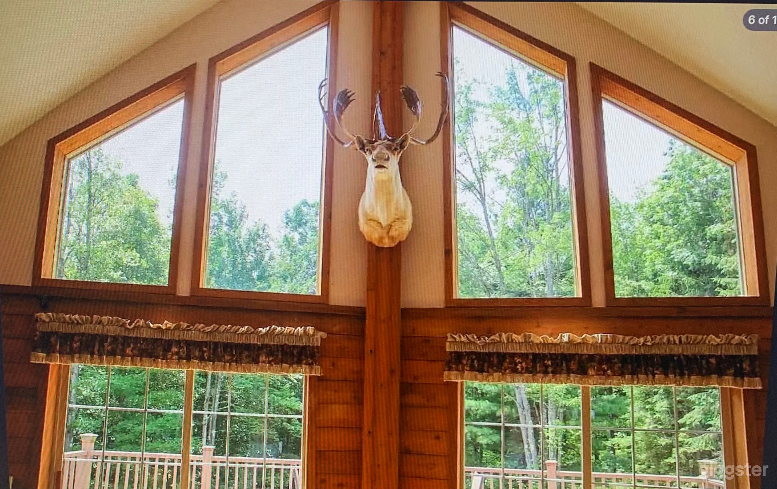 Cabin in the Woods Photo 3