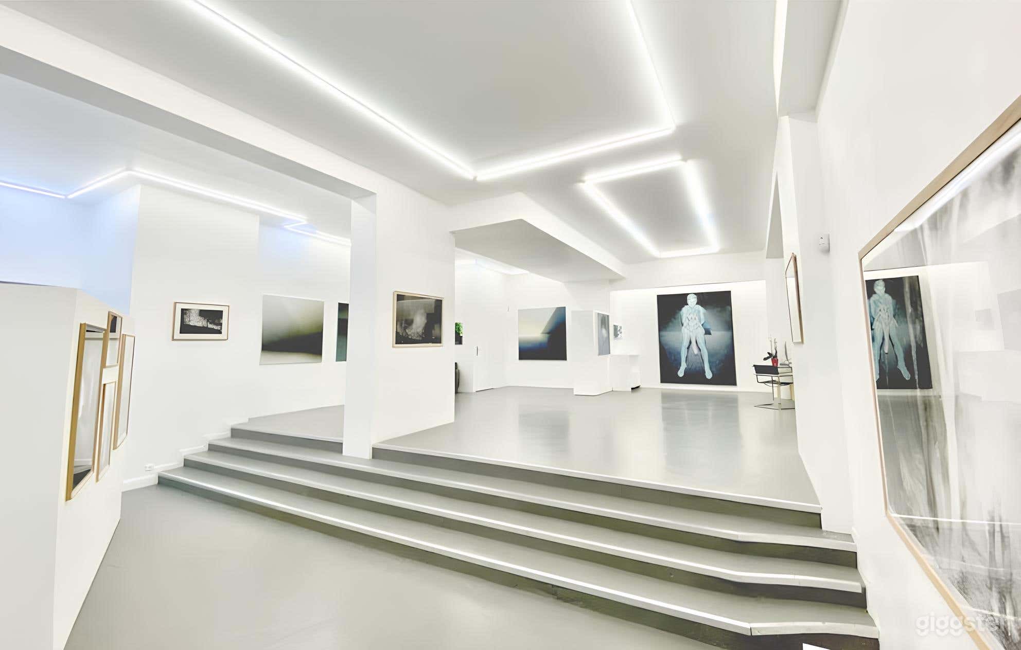 Art Gallery in the heart of Paris Photo 4