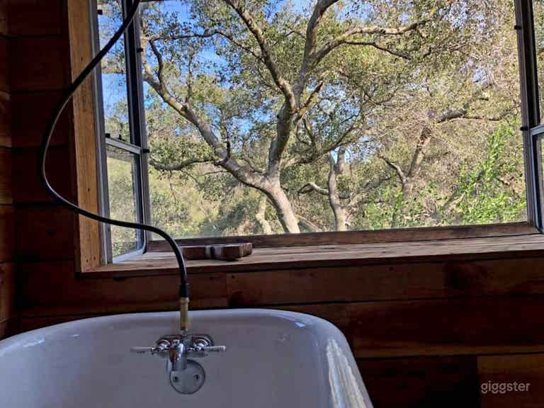  Topanga Mountain DragonFly House + creek 