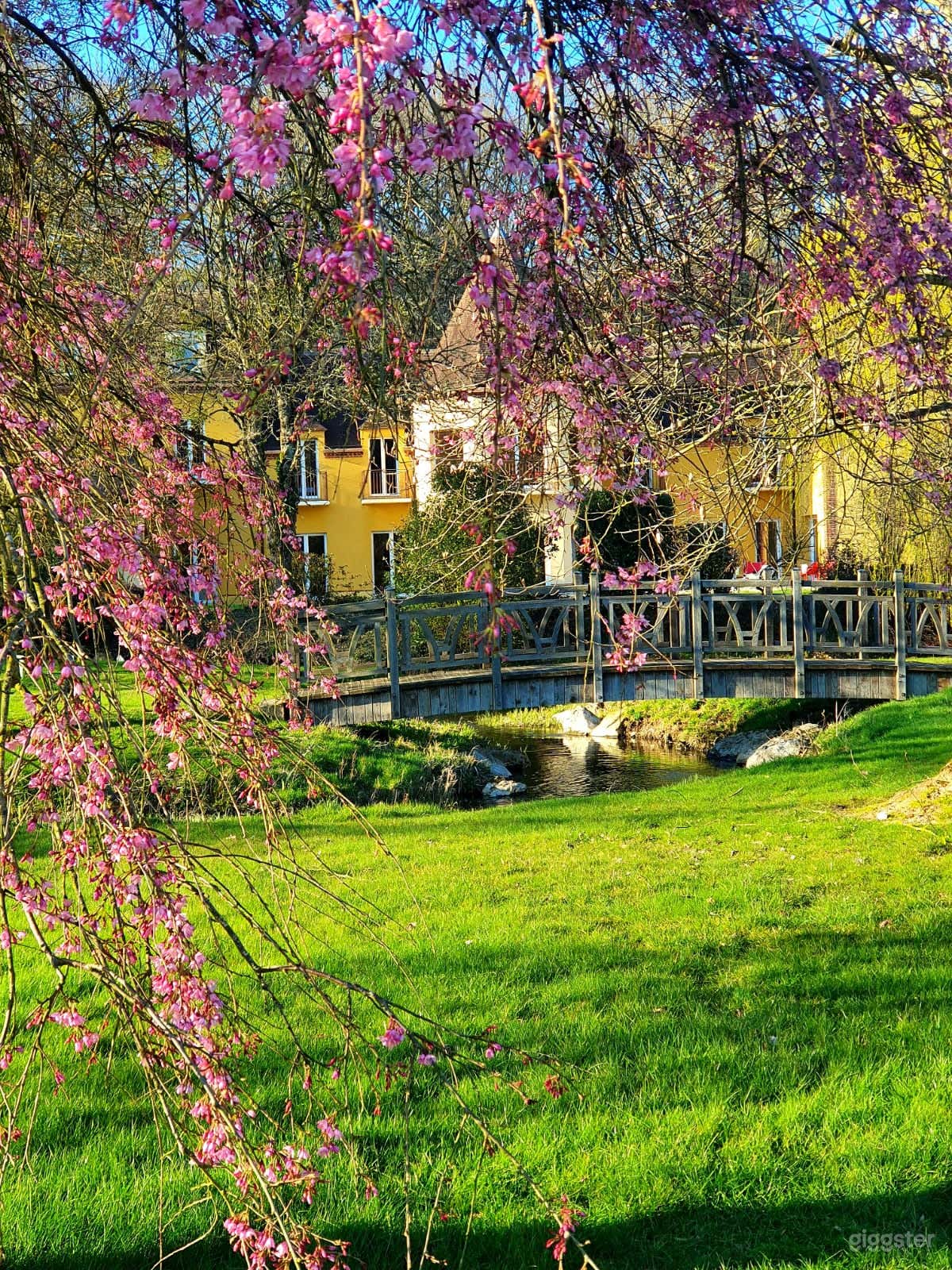 Photo de Domaine de Thironne, le lieu pour se connecter et s'évader 2