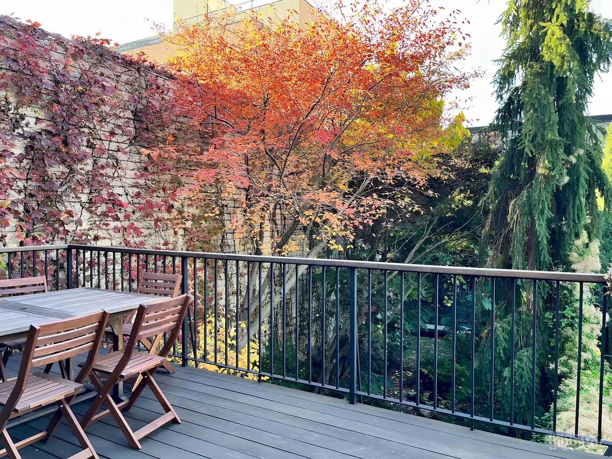 Lush Garden Backyard Photo 1