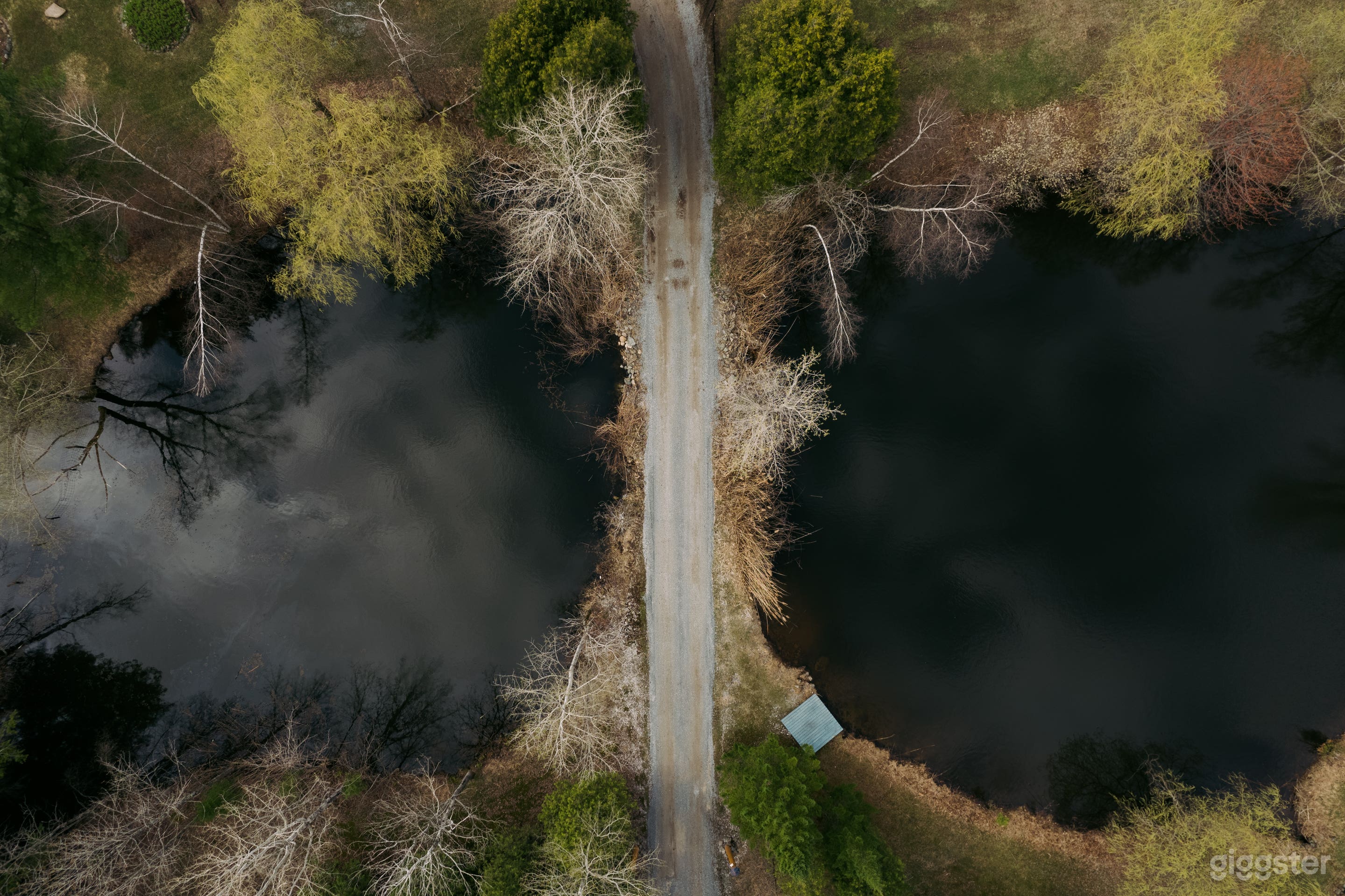Nous avons plusieurs lacs sur le domaine où les cygnes et les canards font leur vie.