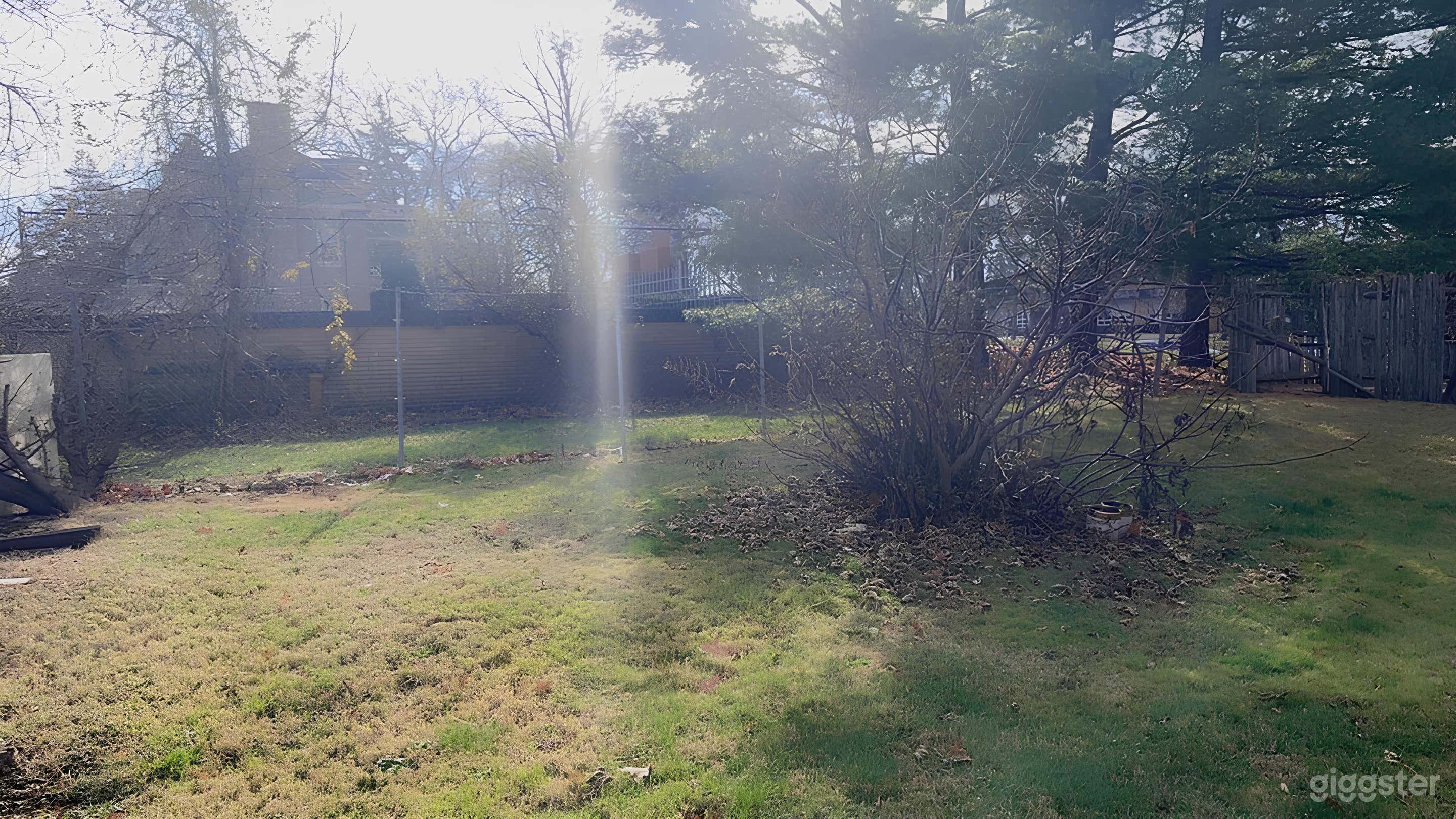 Spacious Suburban Backyard Photo 1