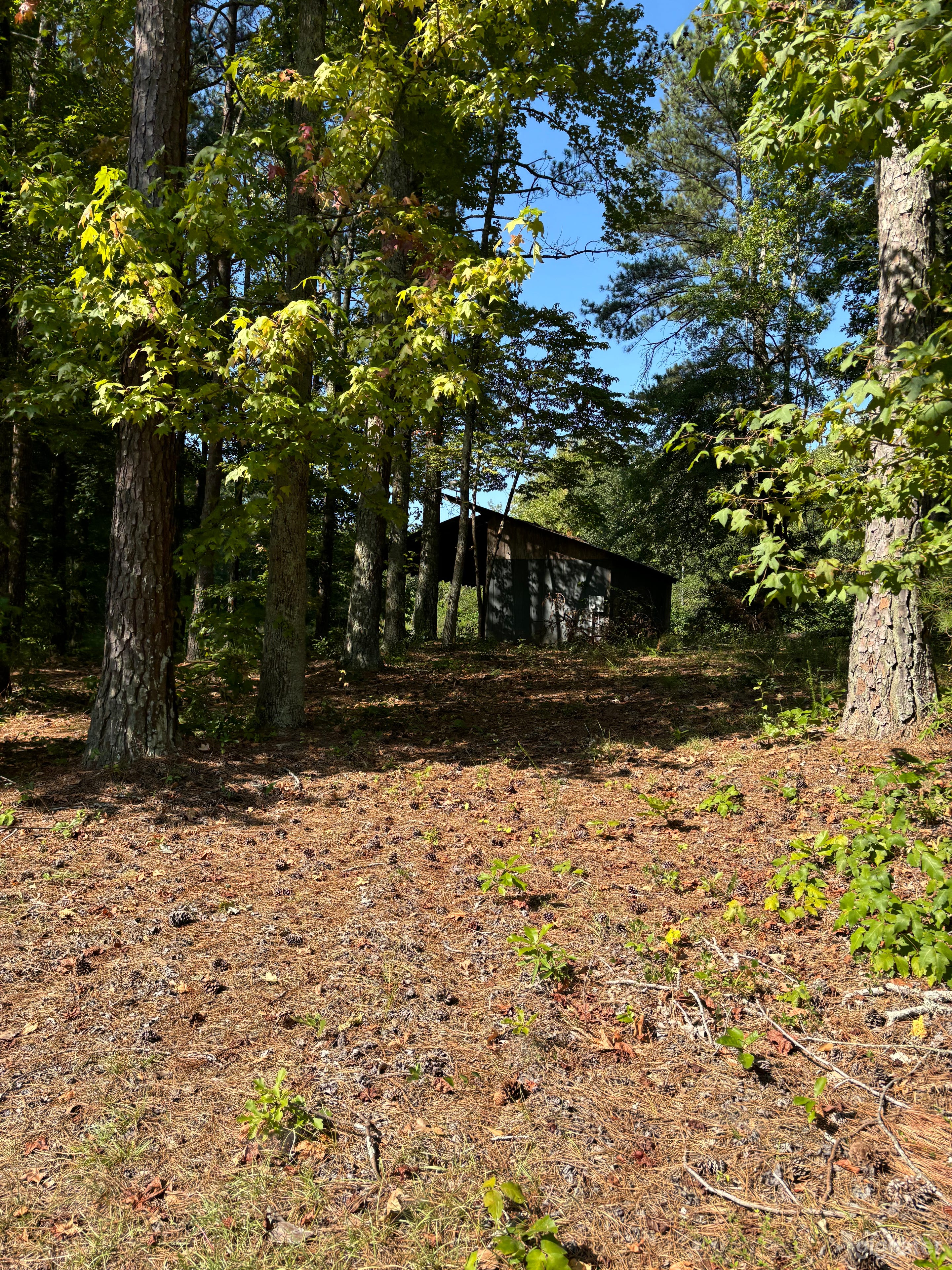 8.6 Acres Of Land Photo 4