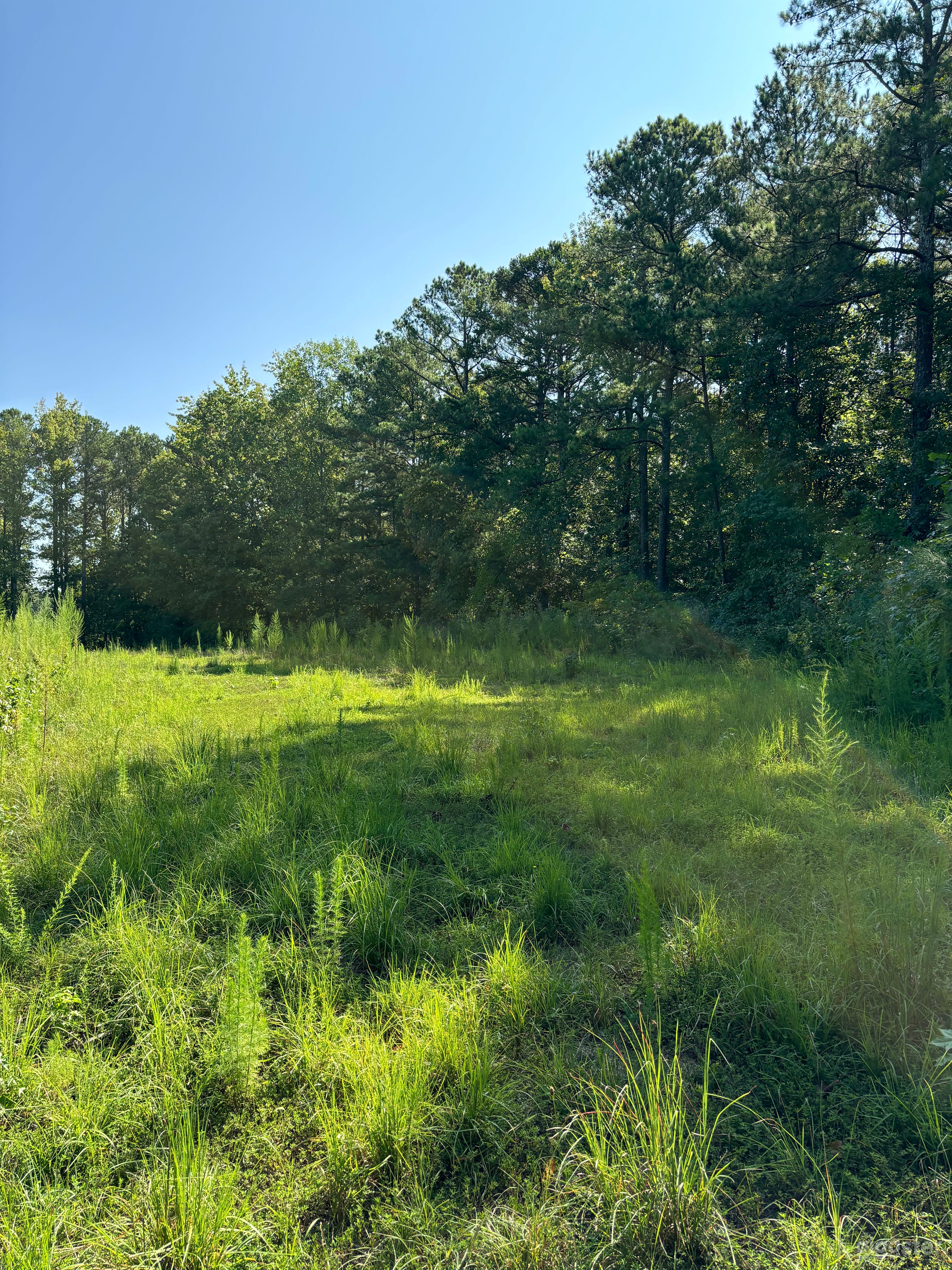 8.6 Acres Of Land Photo 2