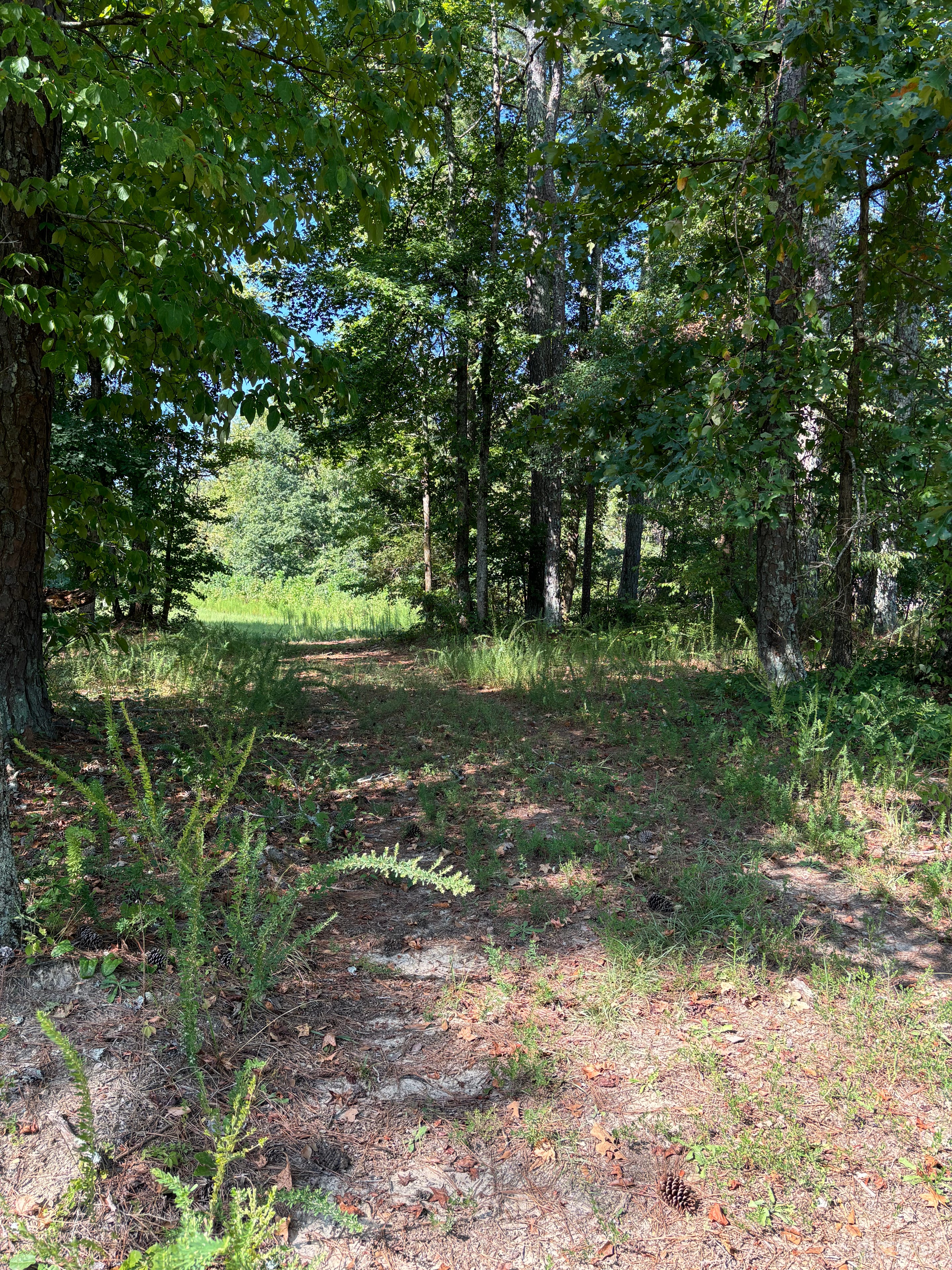 8.6 Acres Of Land Photo 3