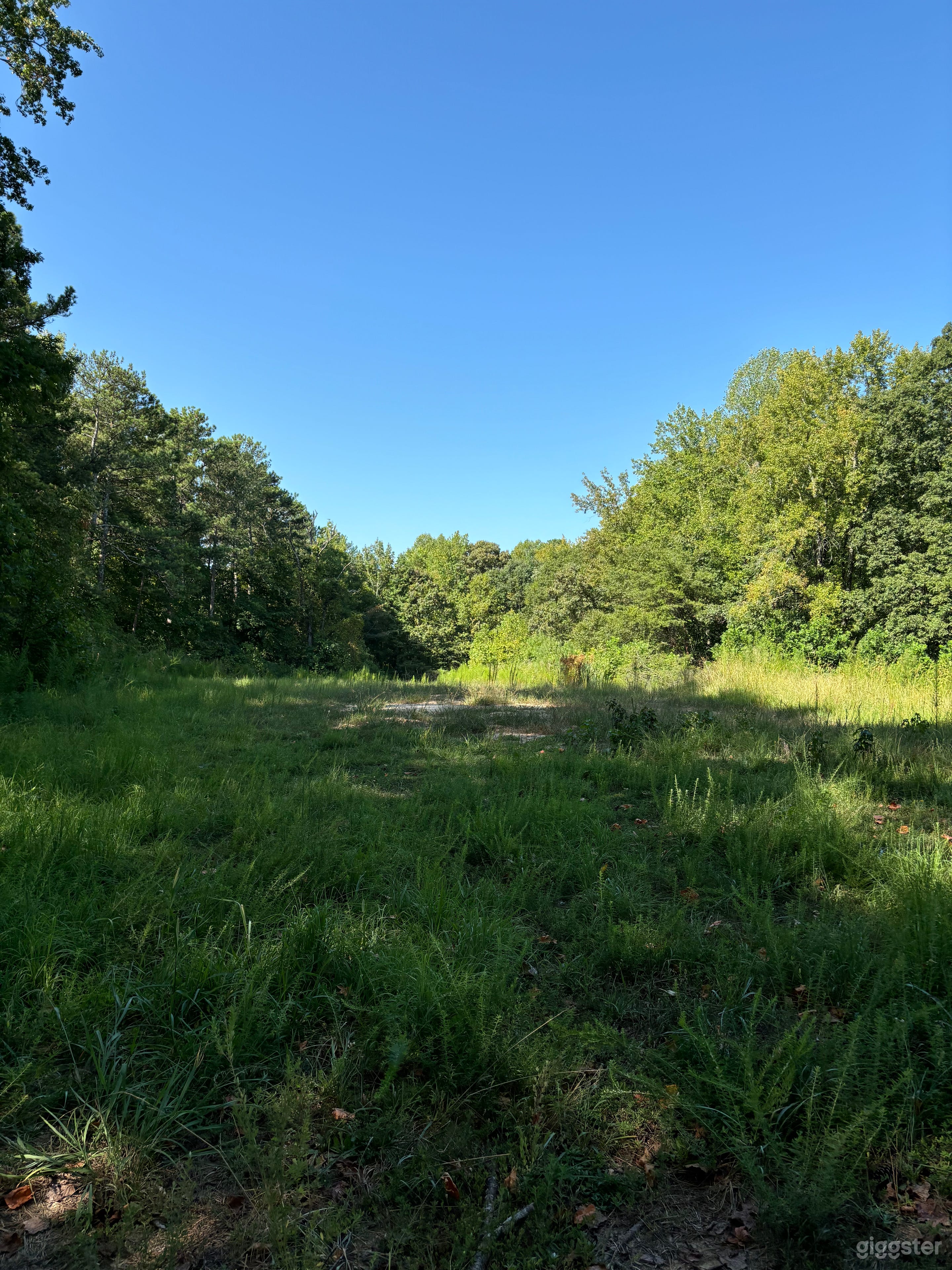 8.6 Acres Of Land Photo 1