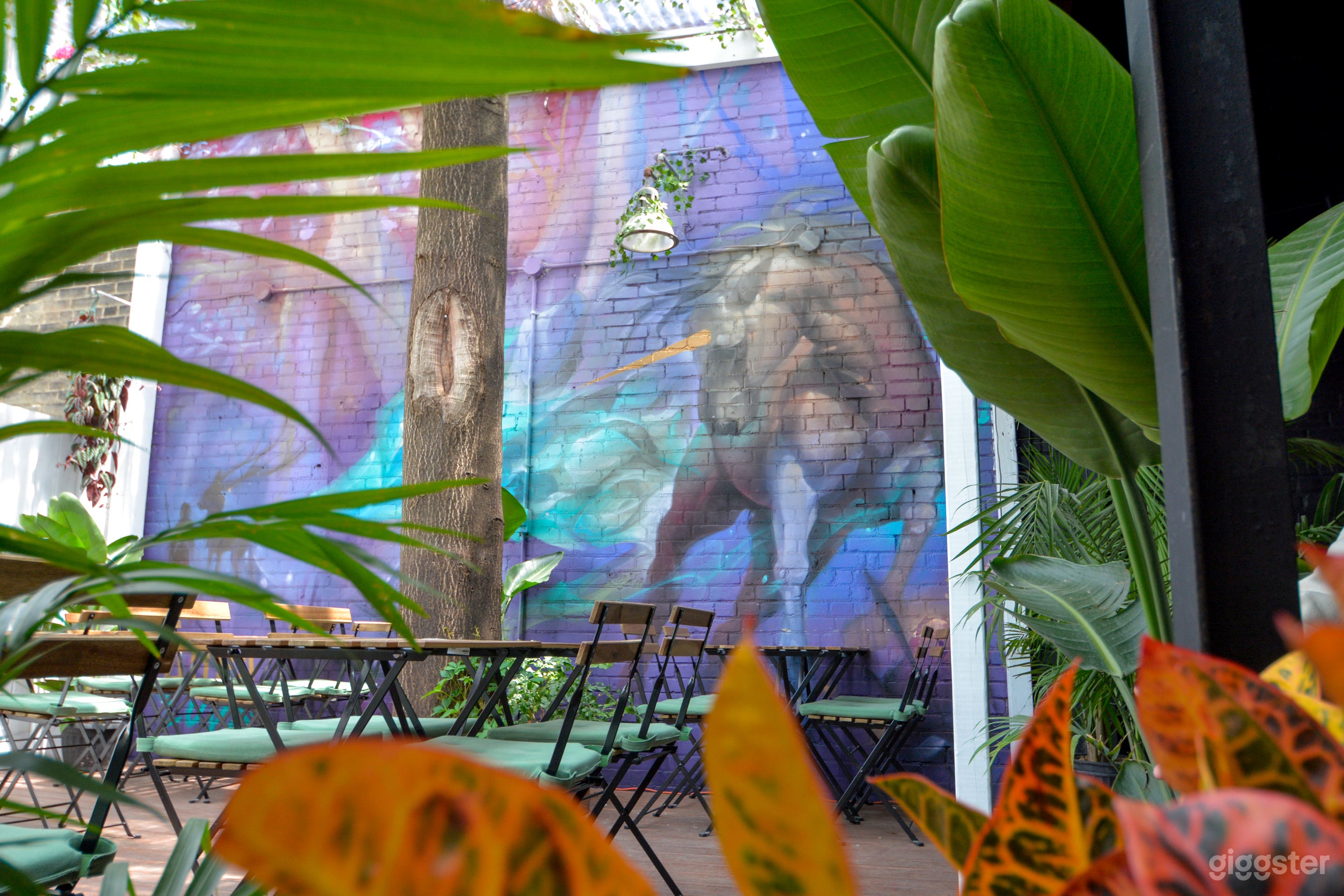 Tropical Paradise in The Heart of Downtown Toronto Photo 2
