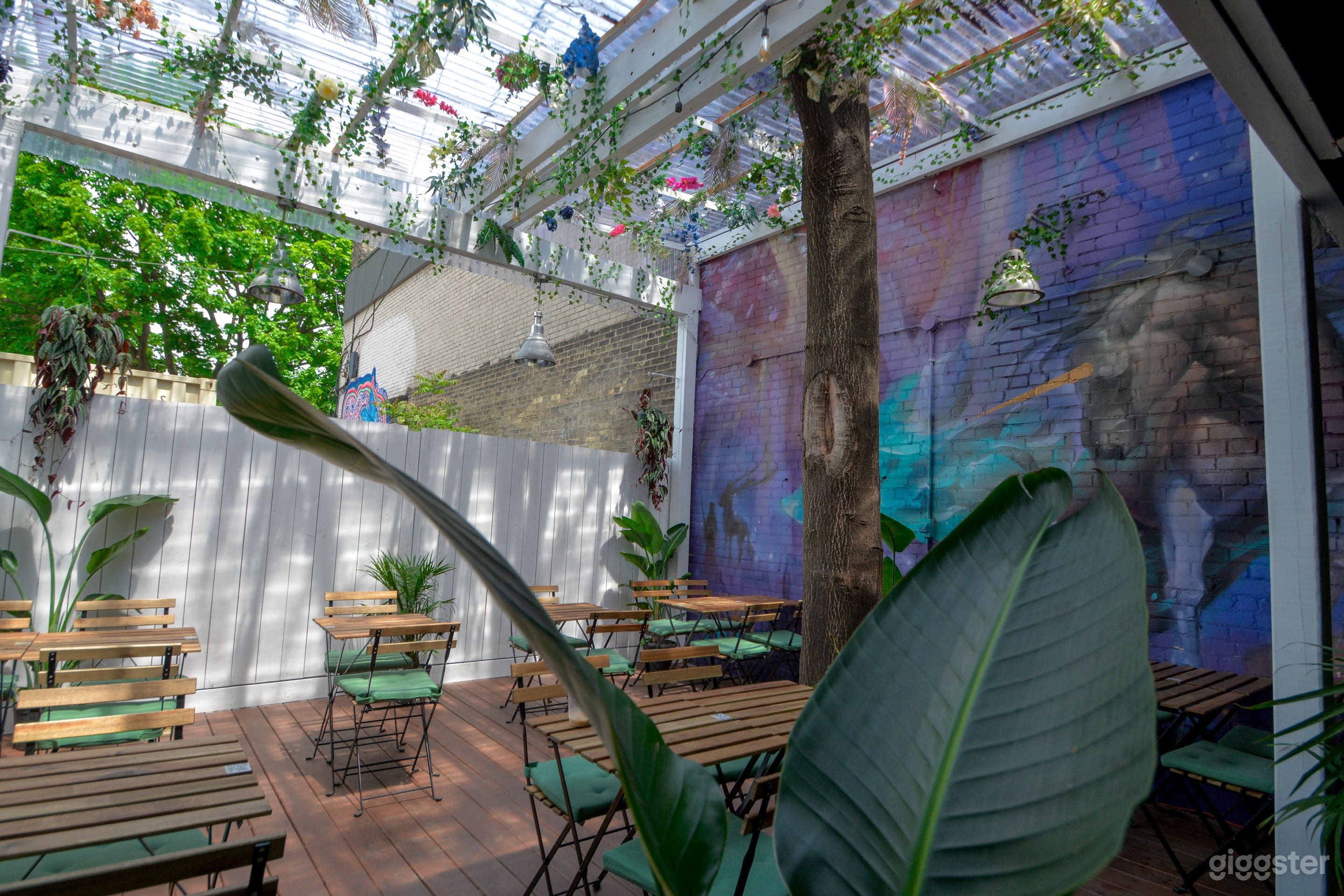 Tropical Paradise in The Heart of Downtown Toronto Photo 3