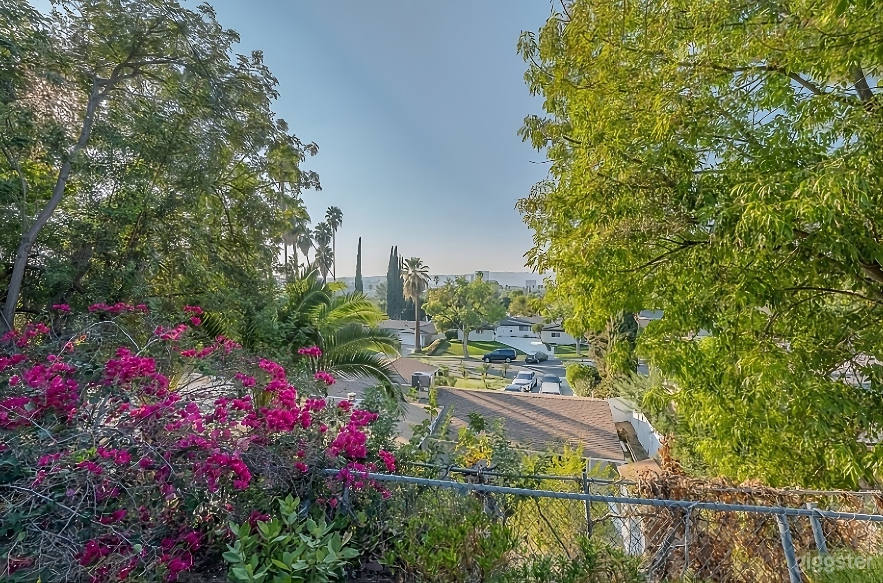 Secluded Luxury Hillside Backyard Photo 3