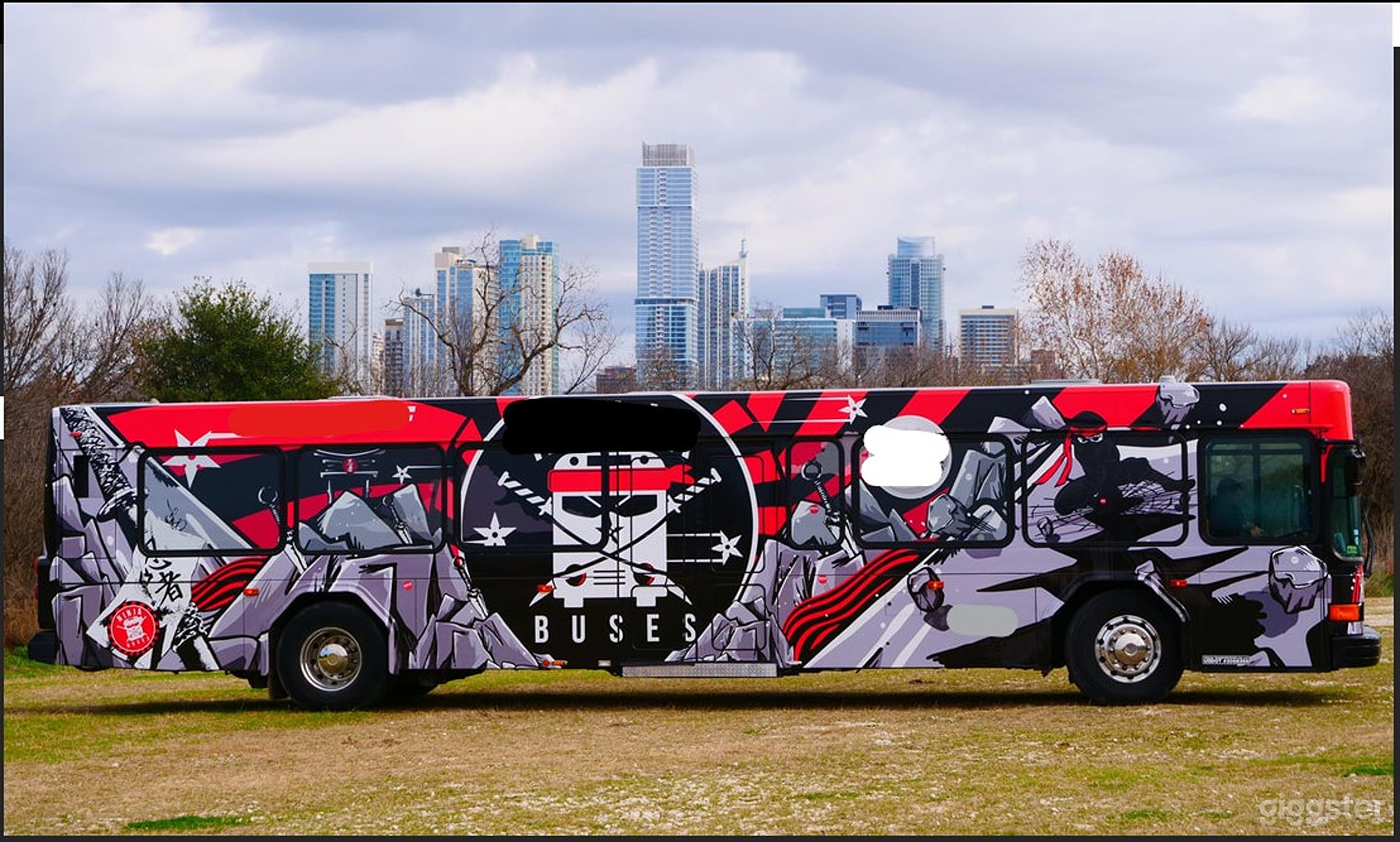 Luxurious Bachelor-Style Limousine Photo 2