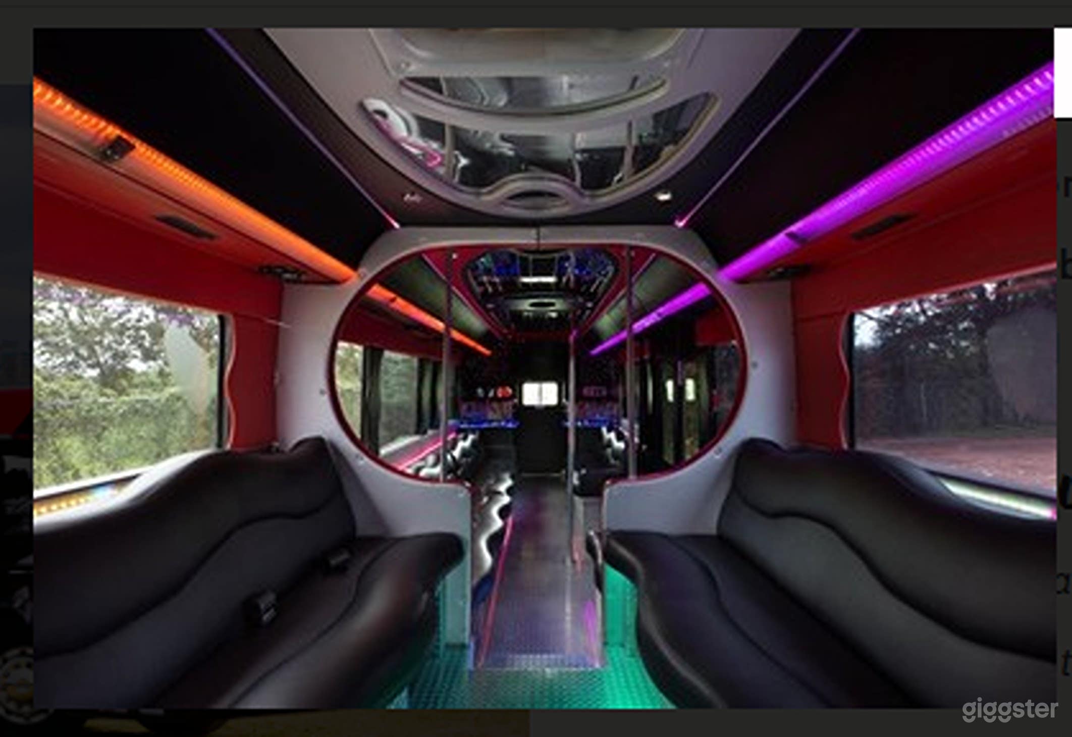 Luxurious Bachelor-Style Limousine Photo 4