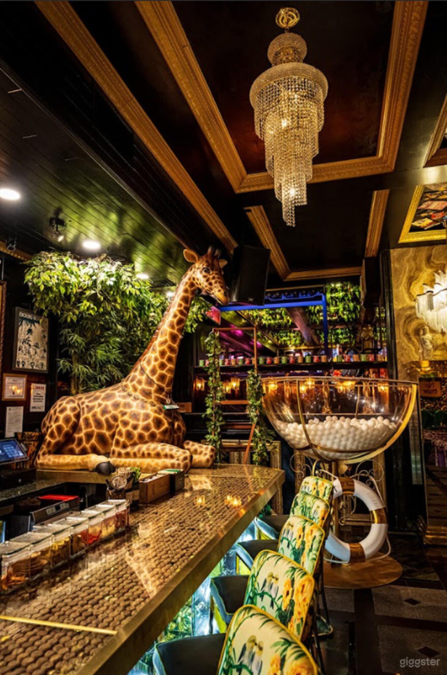 Full Buyout – Classic NYC Pub with Rustic Charm & Craft Beer Photo 4