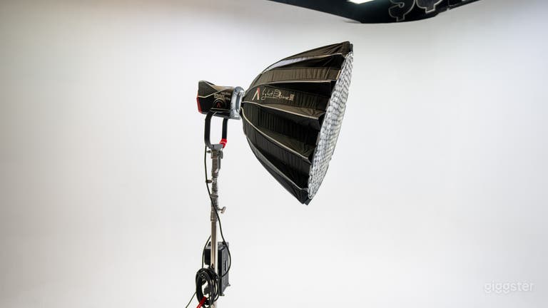  Aputure LS 1200d Pro  