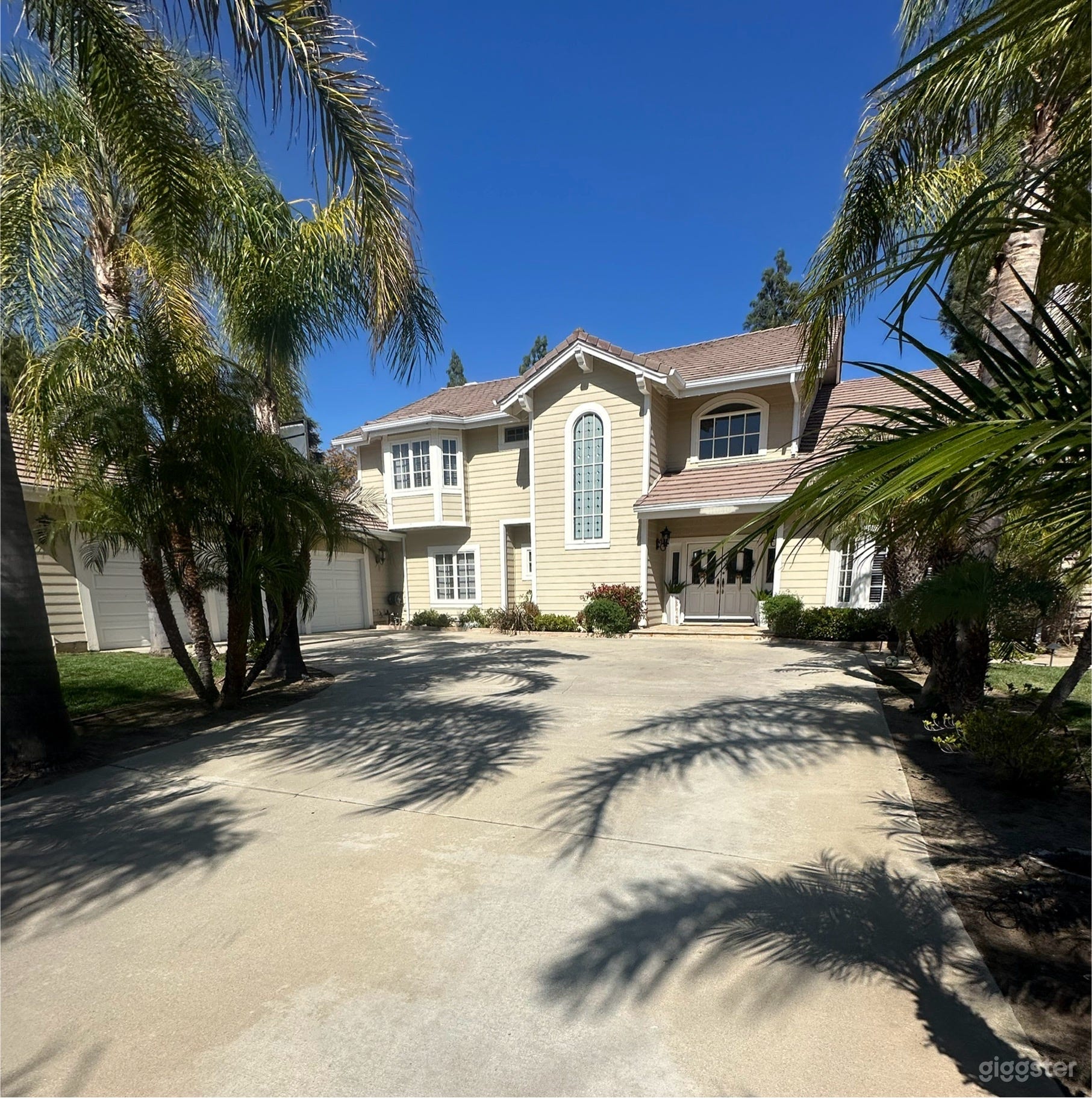 Palm tree lined long driveway, with large backyard Photo 1