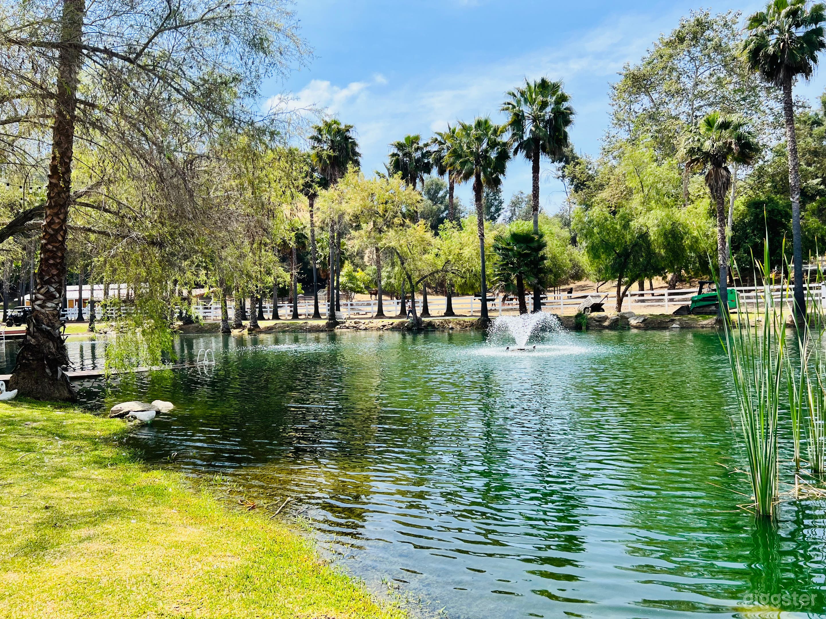 Private Scenic Ranch + Lake + Open Land+ Animals Photo 1
