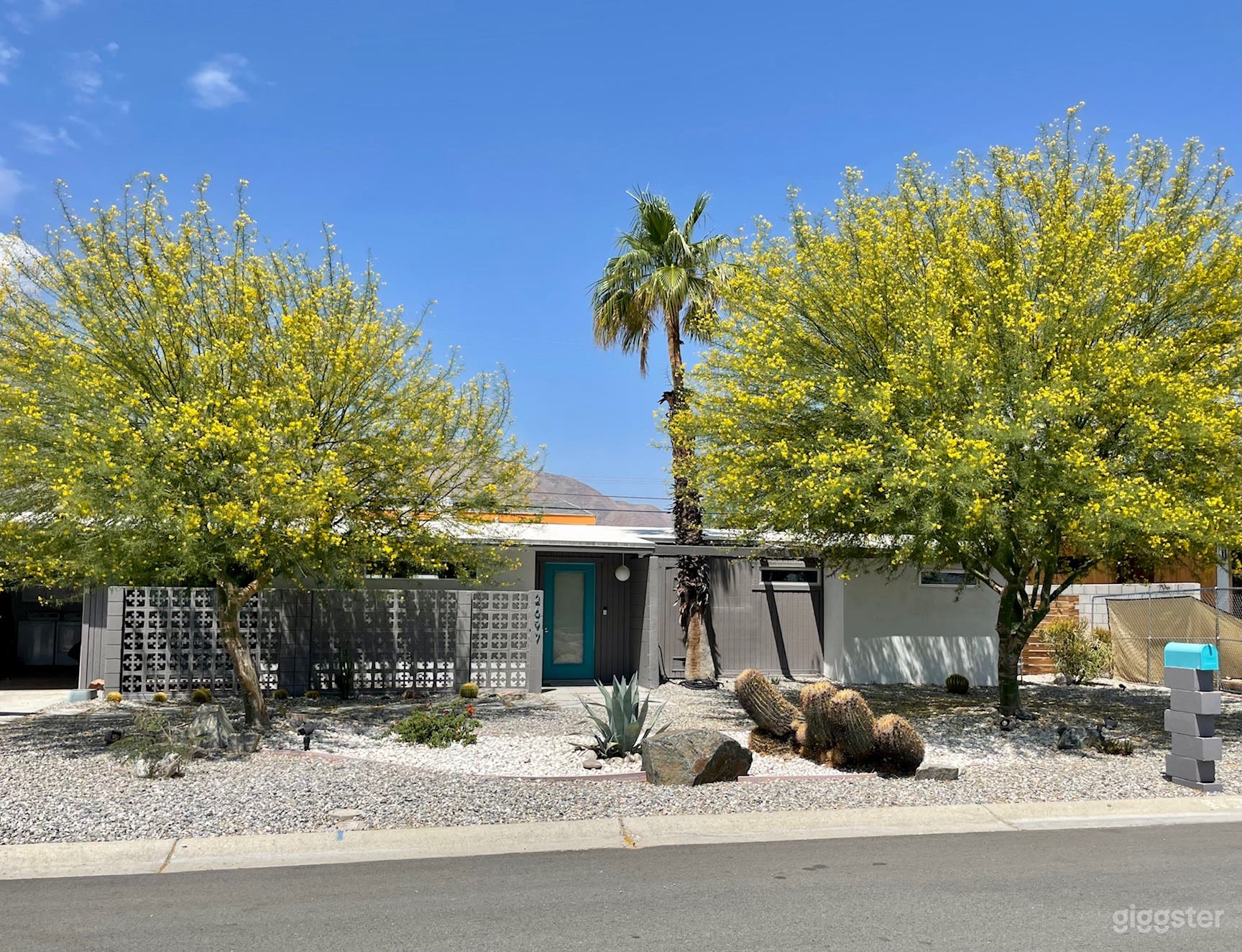 Mid-Century Oasis / Saltwater Pool & Spa Photo 1