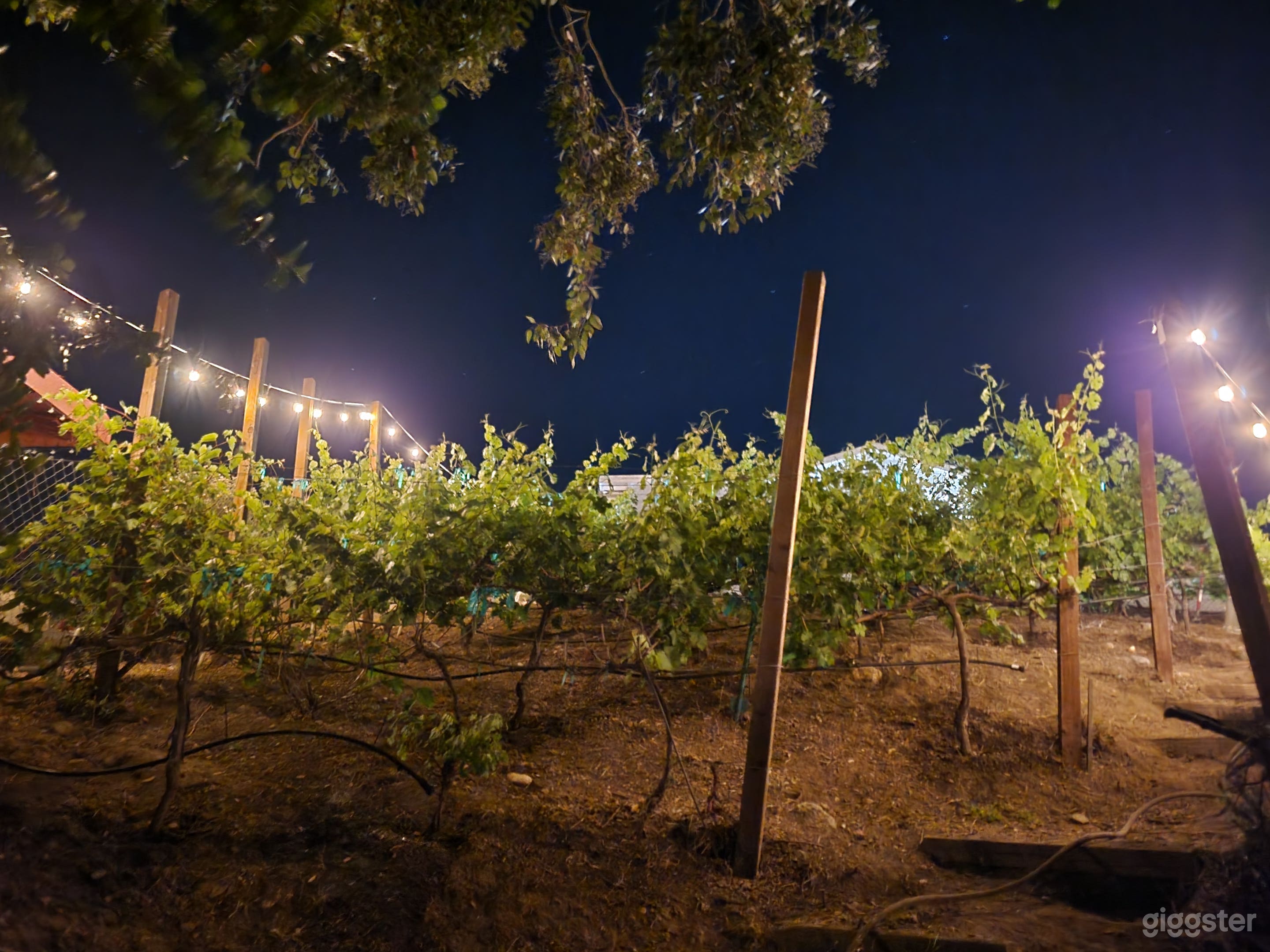 Charming Home with great Views Vinyard  Photo 1