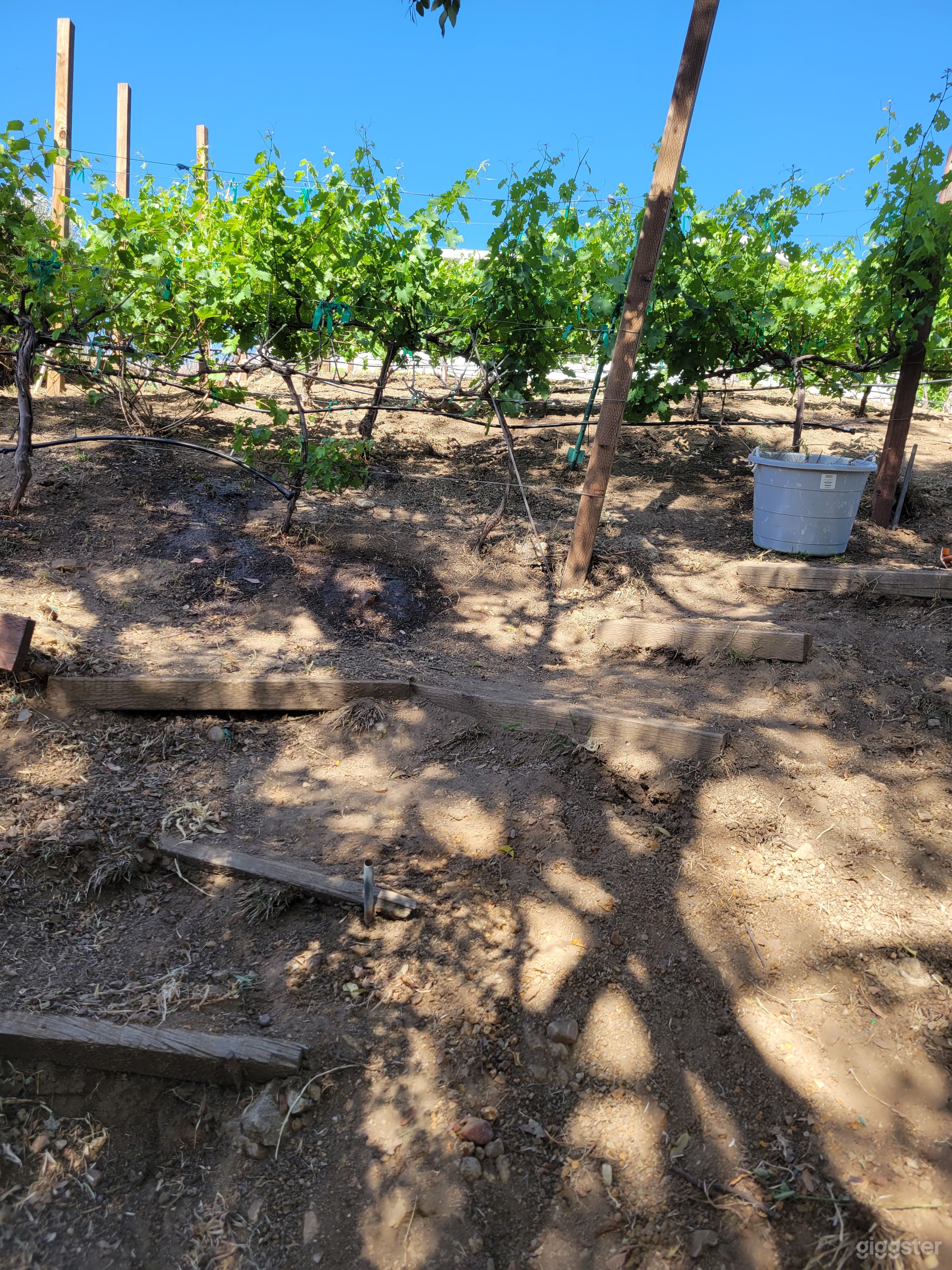 Charming Home with great Views Vinyard  Photo 2