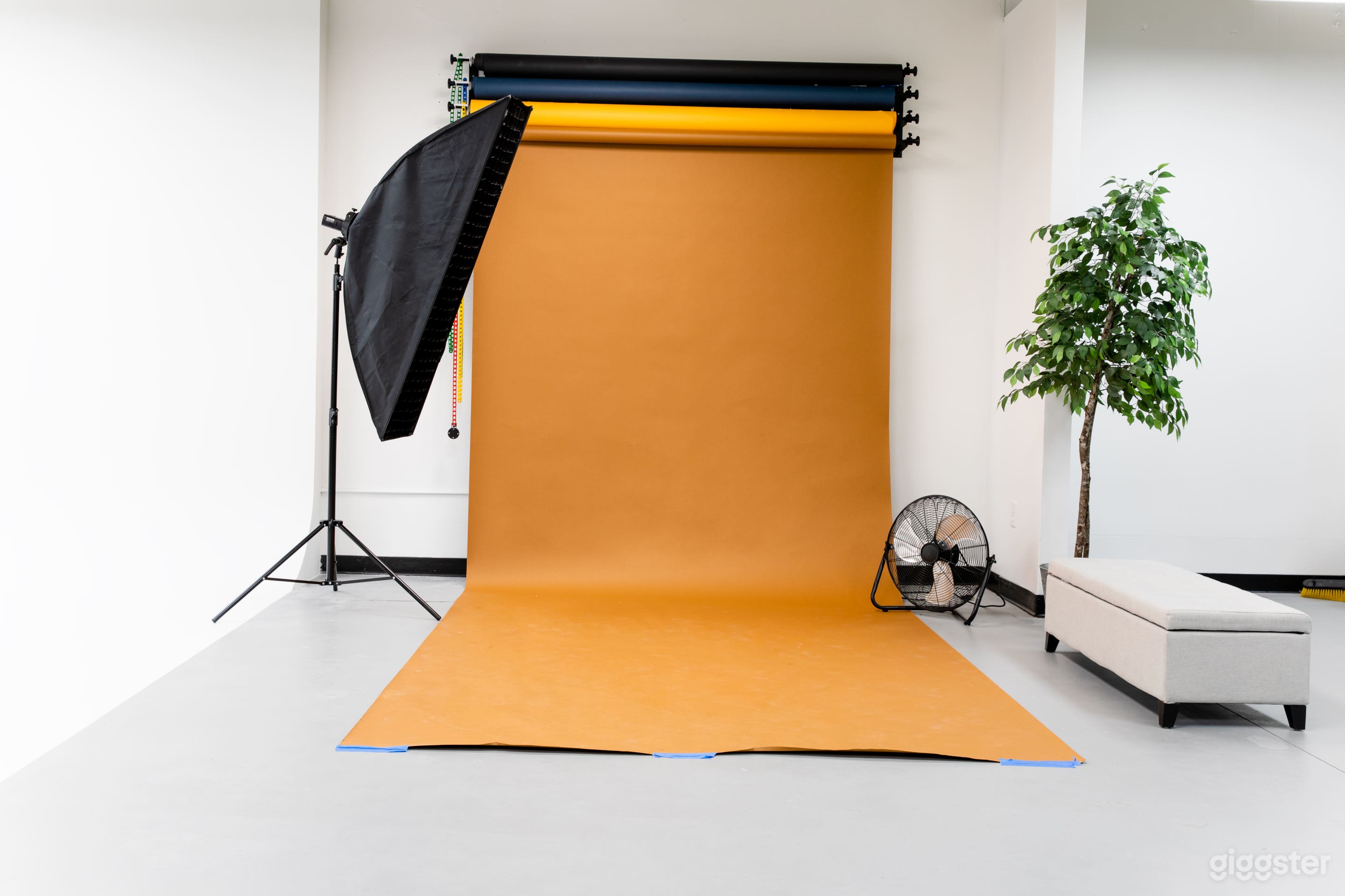 7ft color backdrops