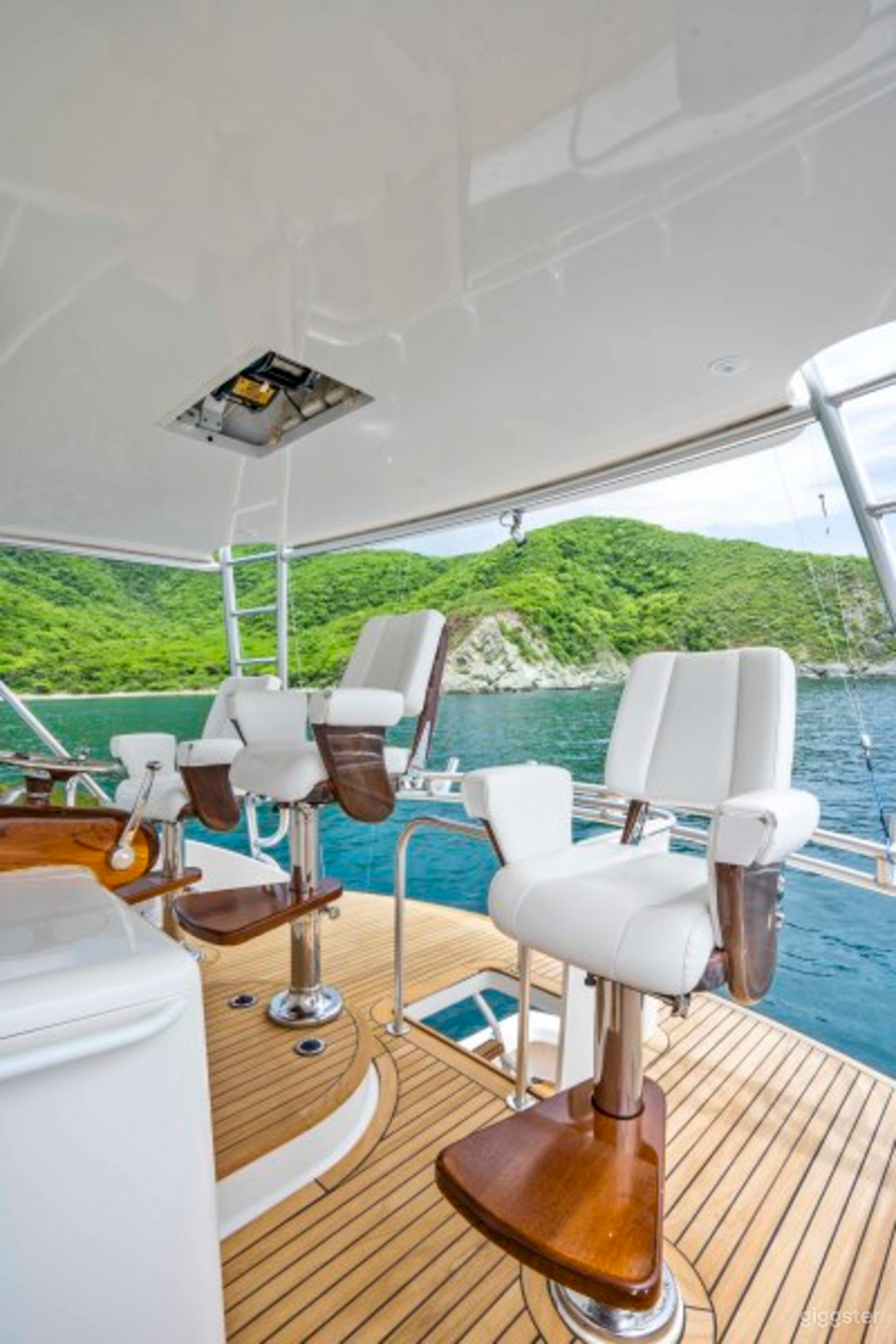 Luxury Viking 74 Motorboat Photo 4