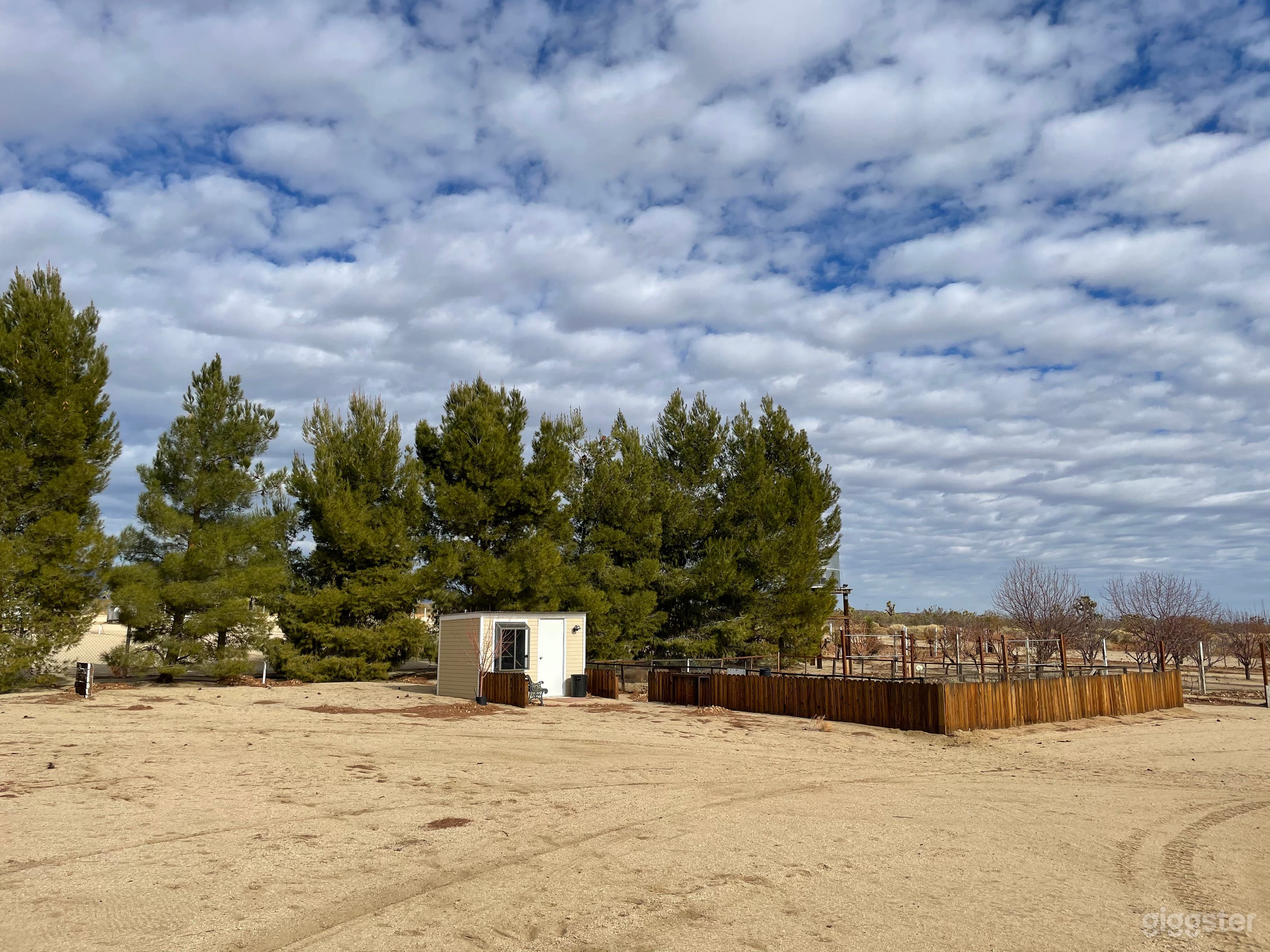 Marty’s Farm Photo 4