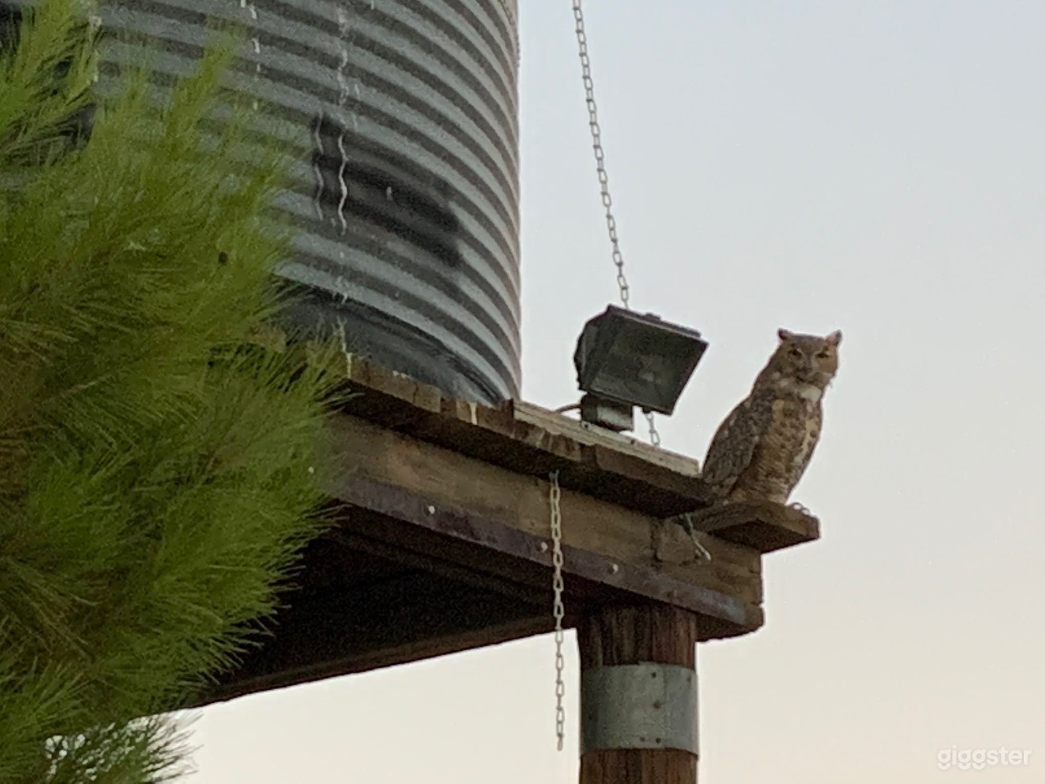 Marty’s Farm Photo 3