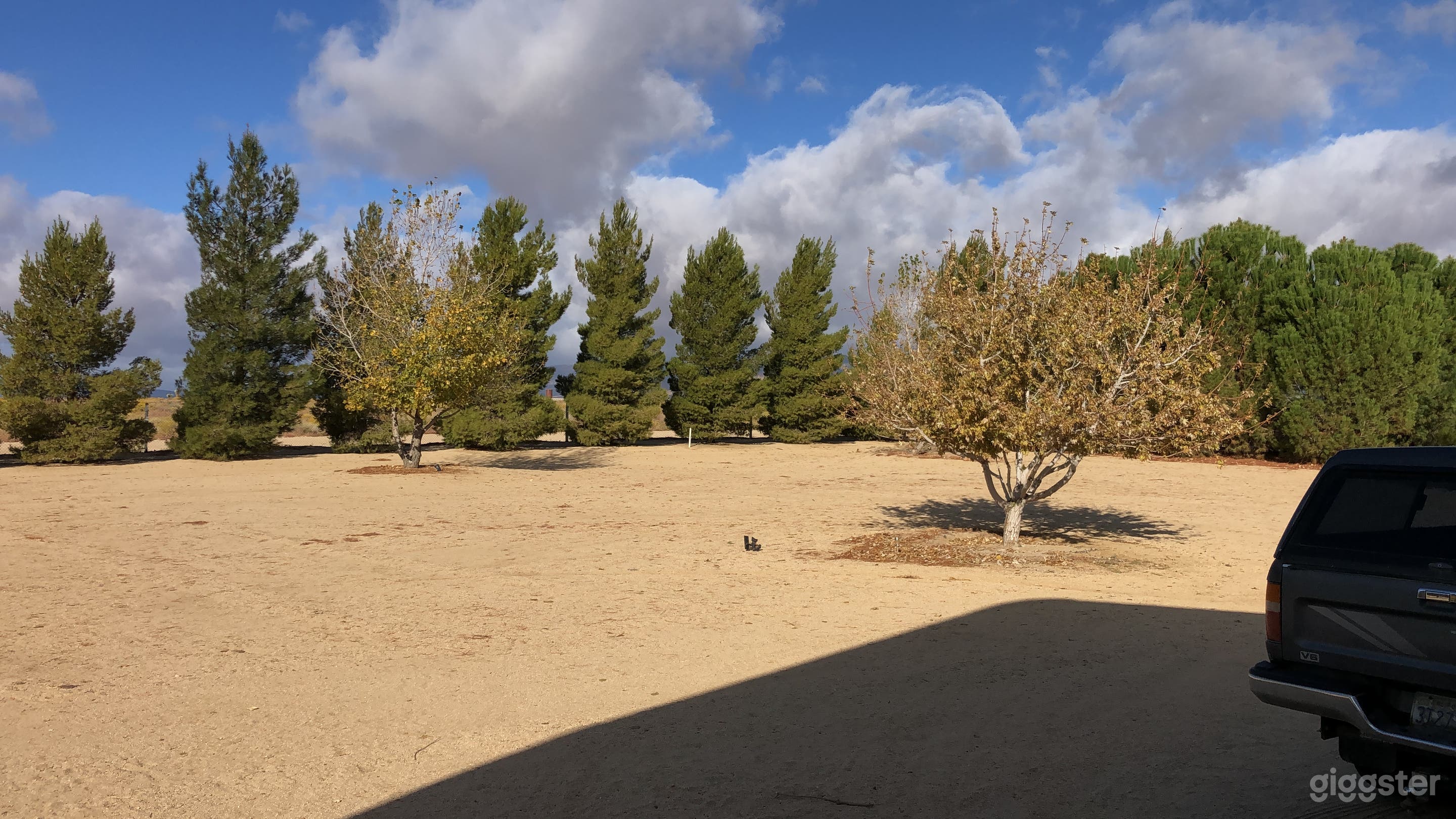 Marty’s Farm Photo 2