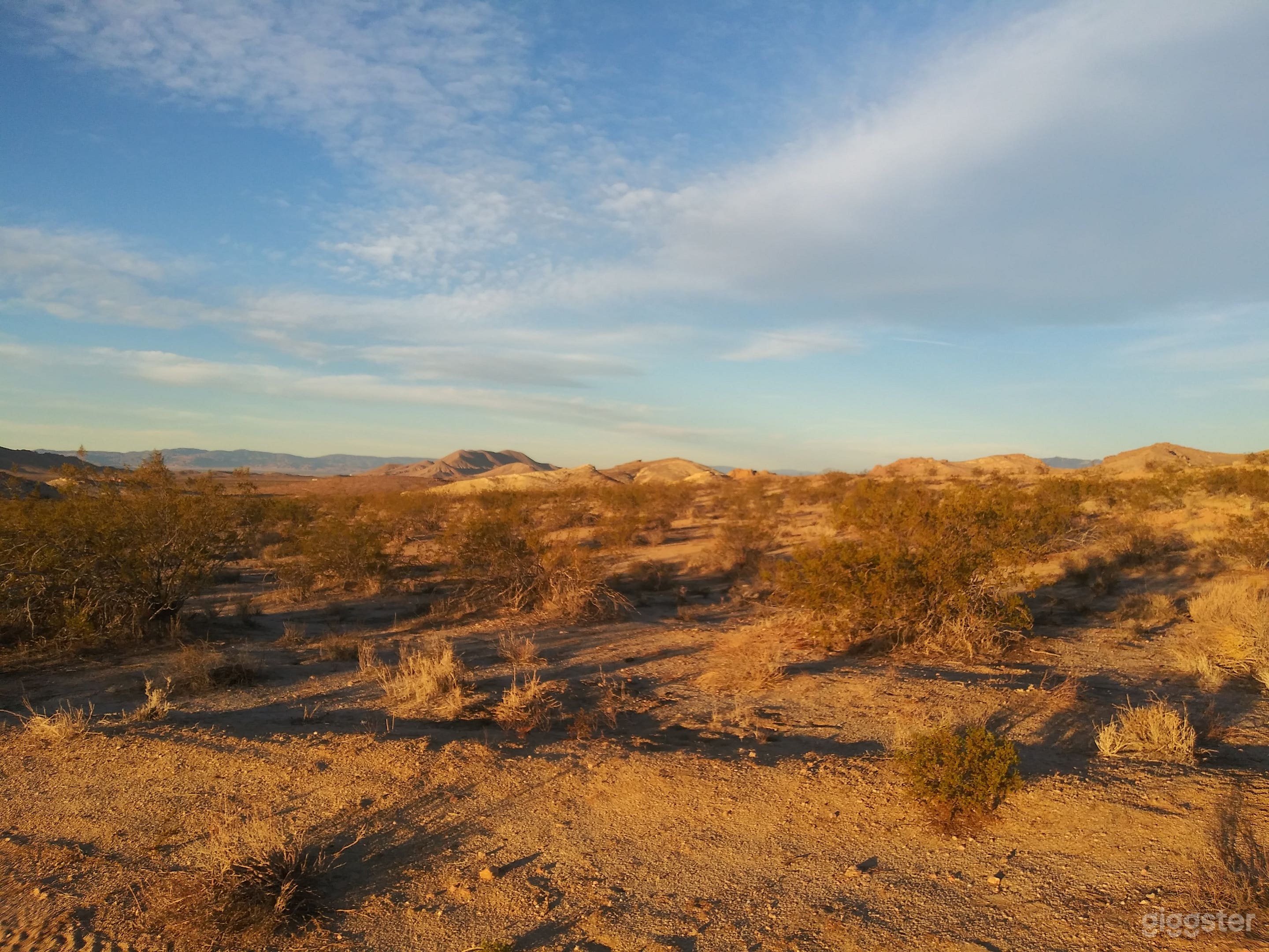 Good morning Sunshine!