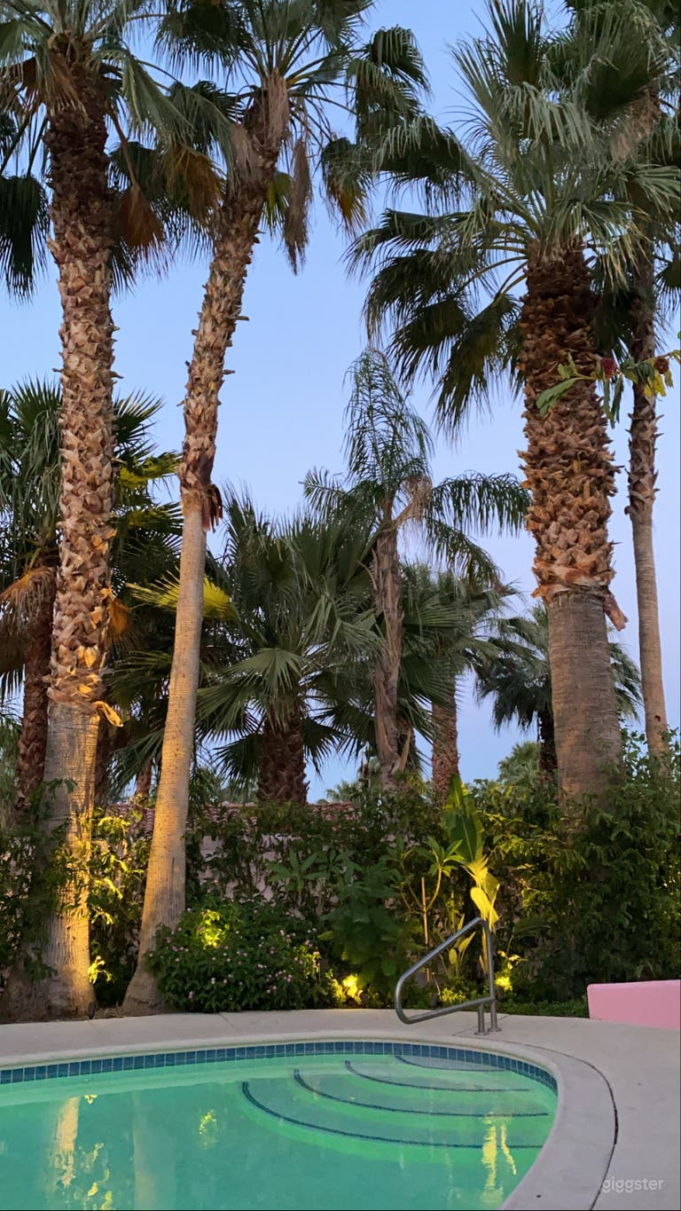  One of a Kind Pink Palm Springs Event Space 