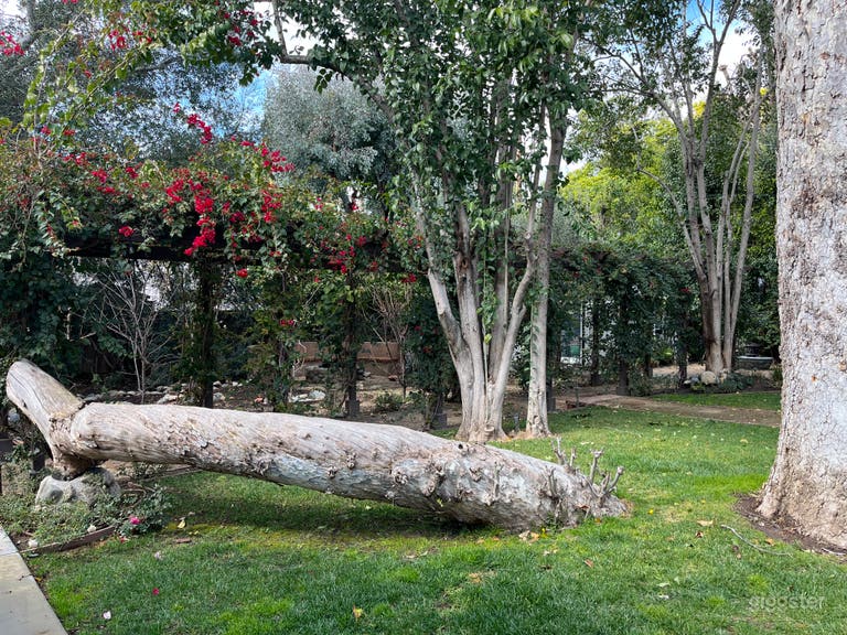  Charming Cape Cod Home with backyard oasis. 