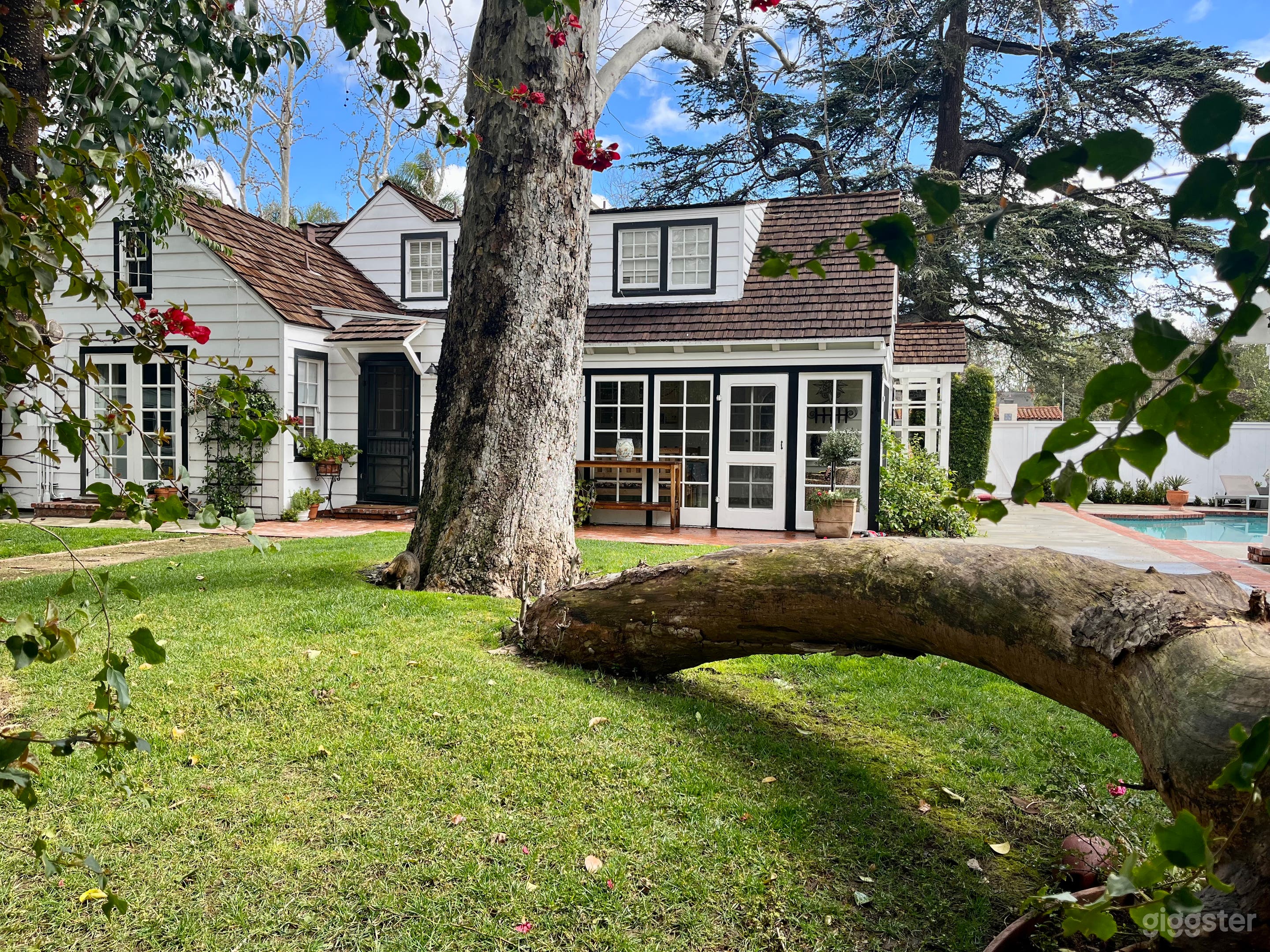 Charming Cape Cod Home with backyard oasis. Photo 4