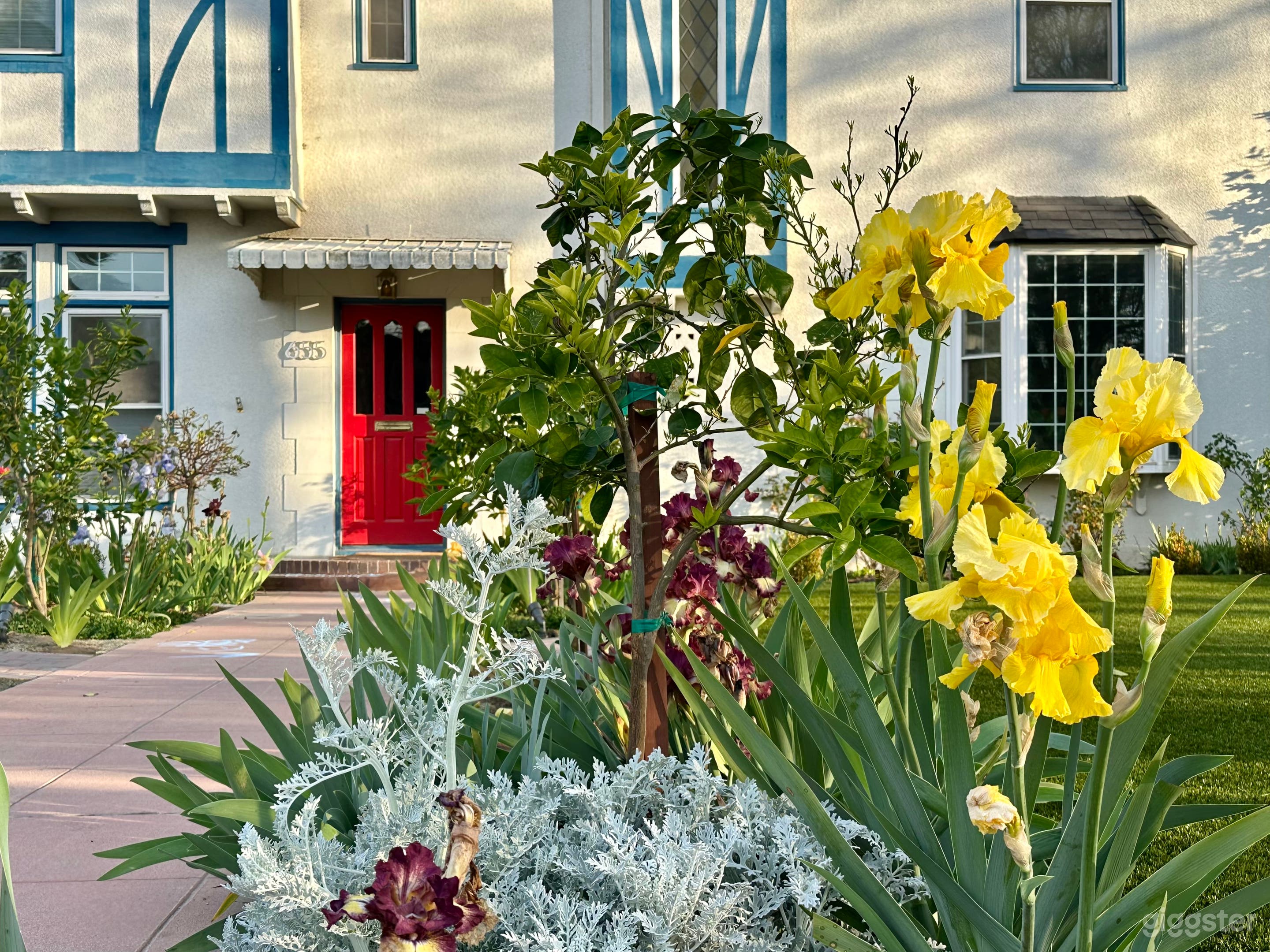 Captivating Tudor Revival  Photo 4