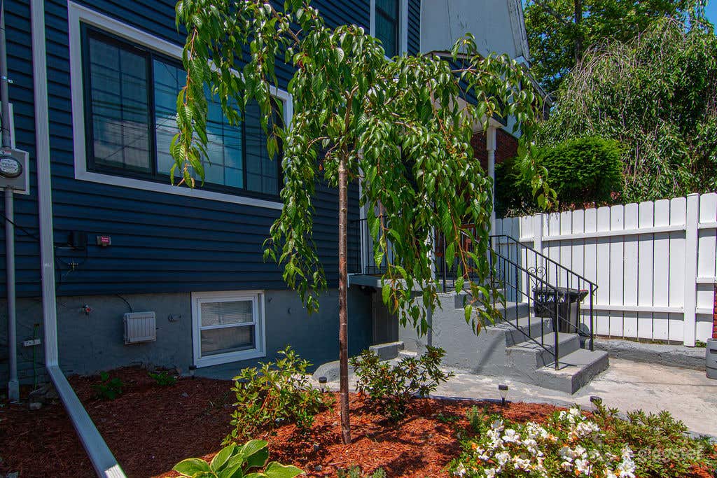 3 story home w. Backyard Photo 1