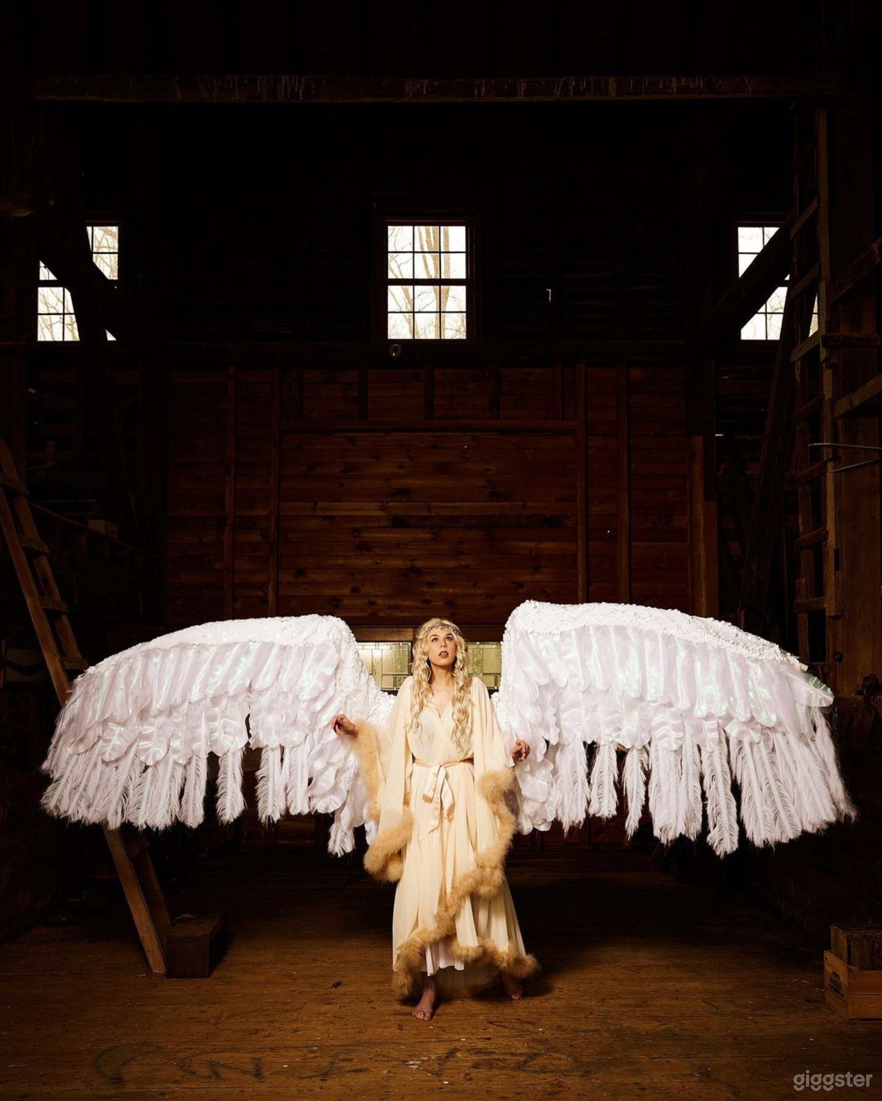 Amazing Historic Barn in Washington DC Metro Area Photo 4