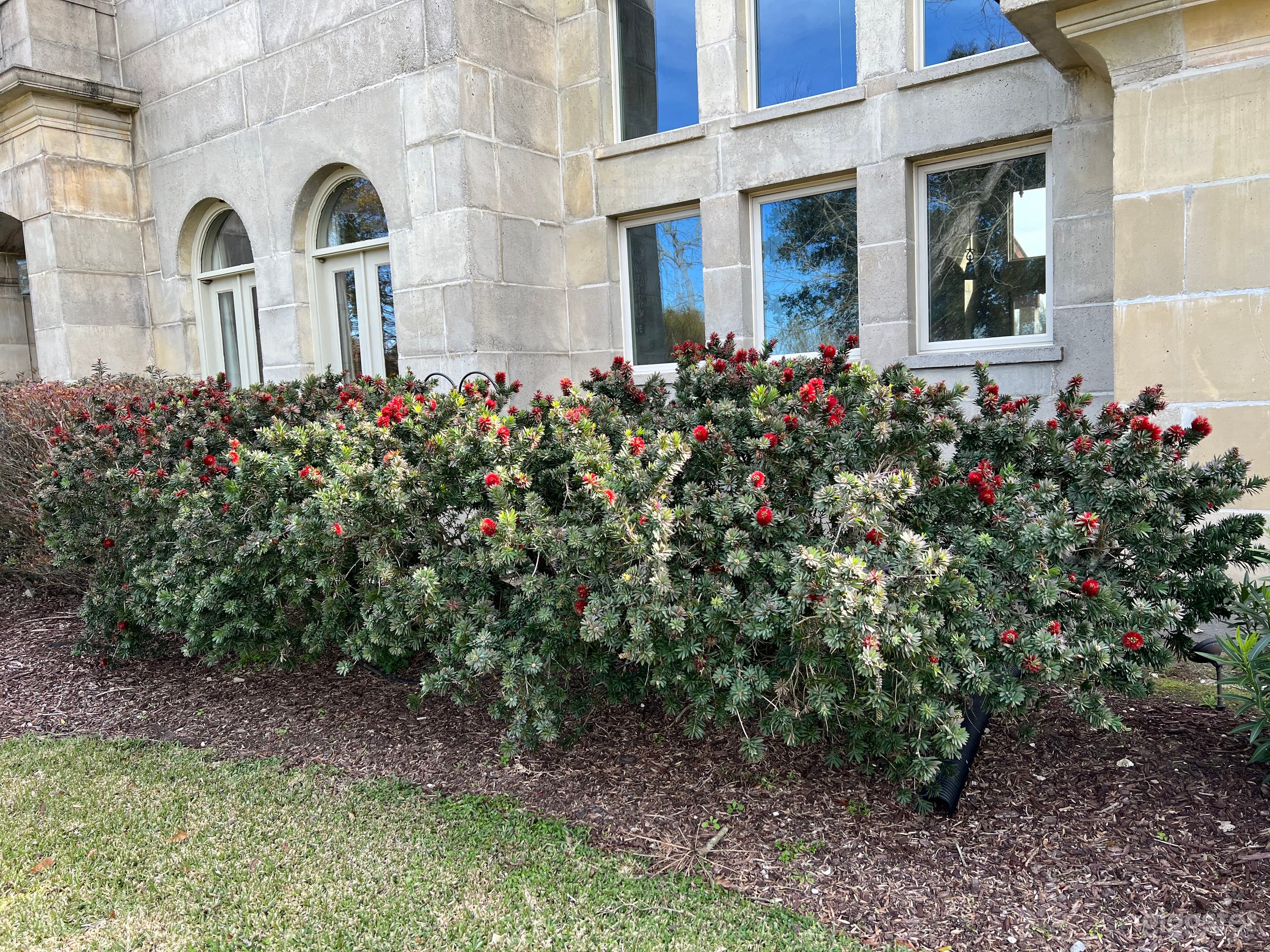 Many Outdoor garden areas