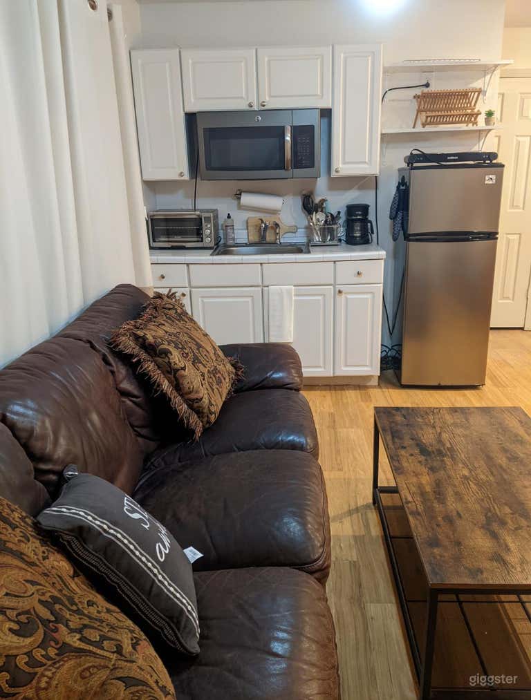  Inside the loop Houston cute tiny house studio 