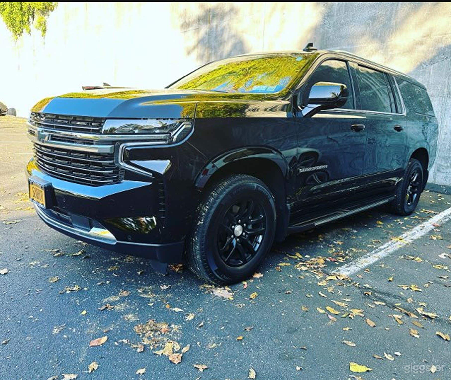 Comfortable & Powerful Full-Size SUV Photo 1