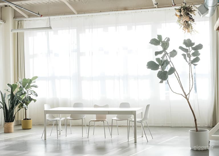  Bright  White Loft Studio 