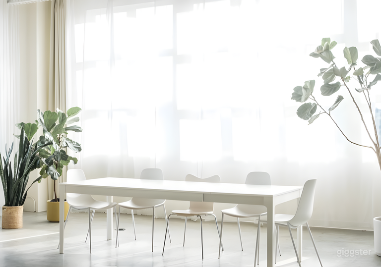  Bright  White Loft Studio 