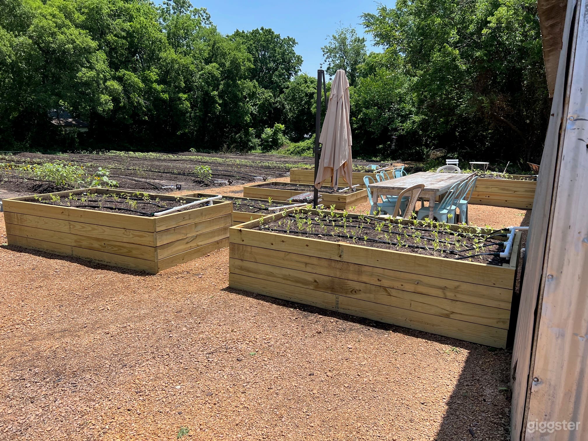 raised beds at entrance of upick flower section, will be painted a grey color soon
