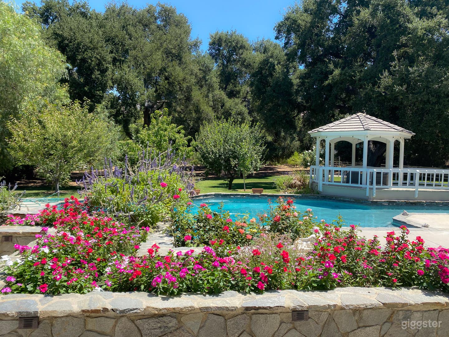 Backyard with Pool and Oak Trees House Mansion Photo 1
